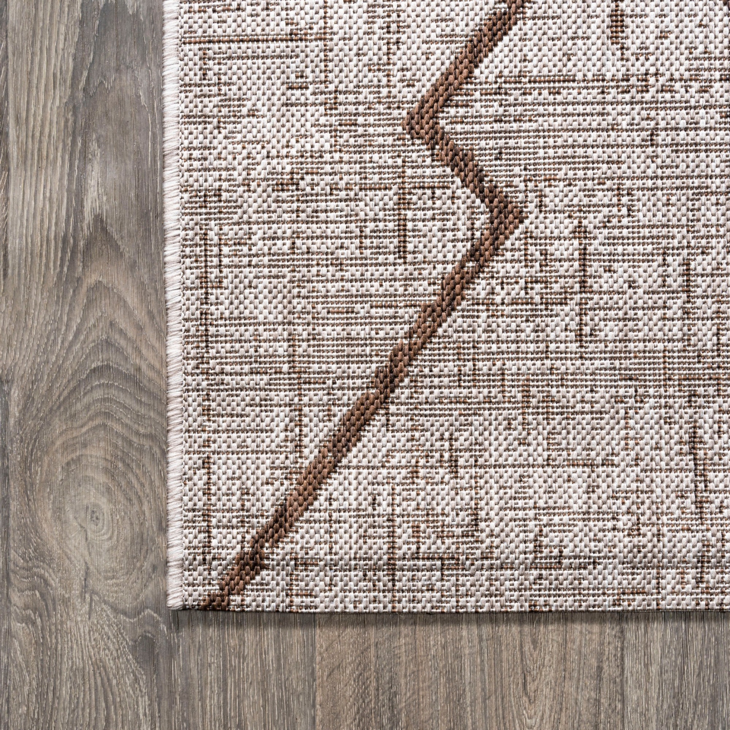 Carwa Tribal Diamond Trellis Indoor/Outdoor Area Rug