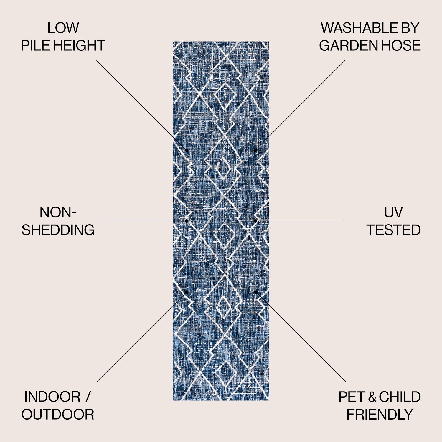 Carwa Tribal Diamond Trellis Indoor/Outdoor Area Rug
