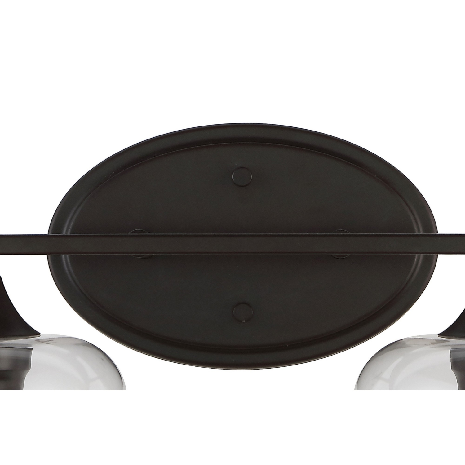 Jayne Iron/Glass Cottage Rustic LED Vanity Light