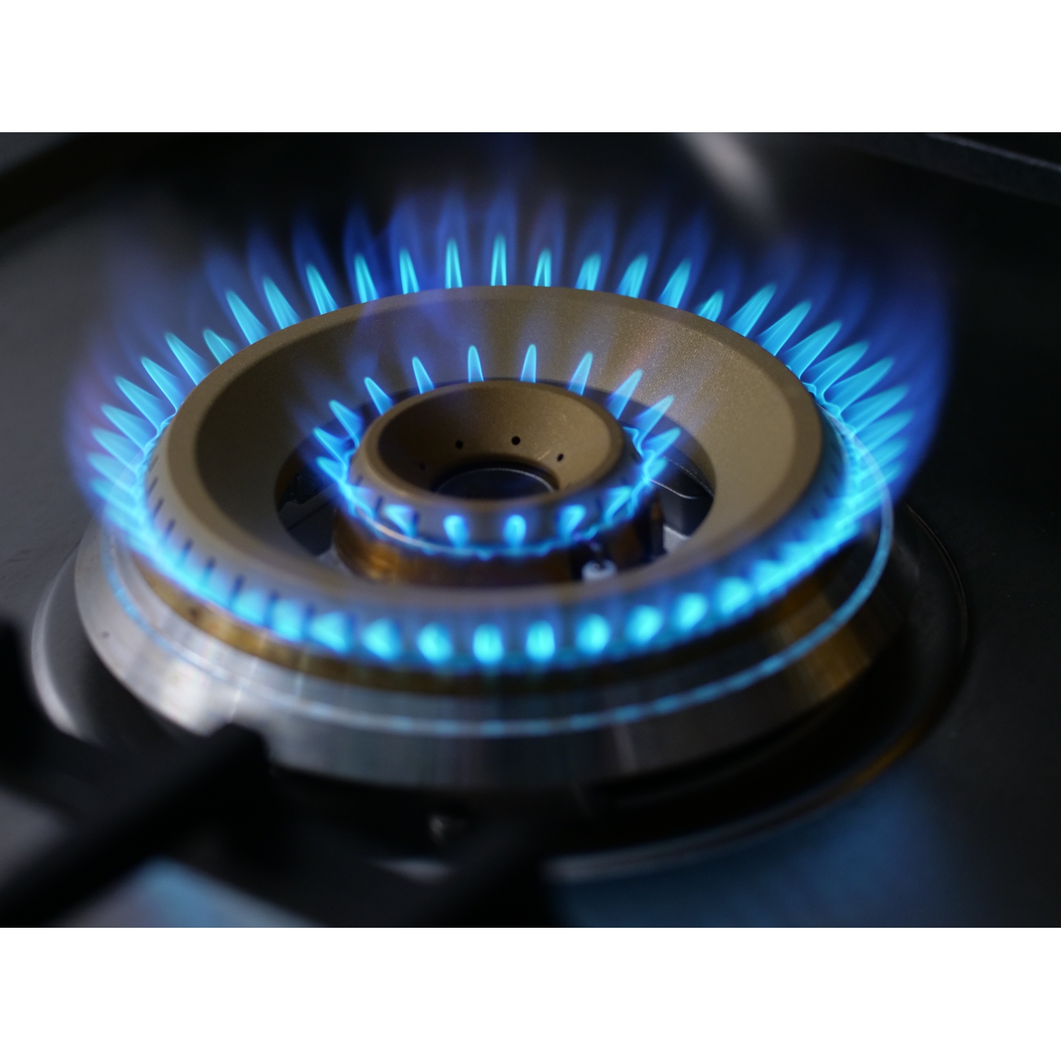 FOTILE GLS36502 Tri-Ring Series 36-inch Gas-on-Steel Gas Cooktop in Stainless Steel with 5 Burners