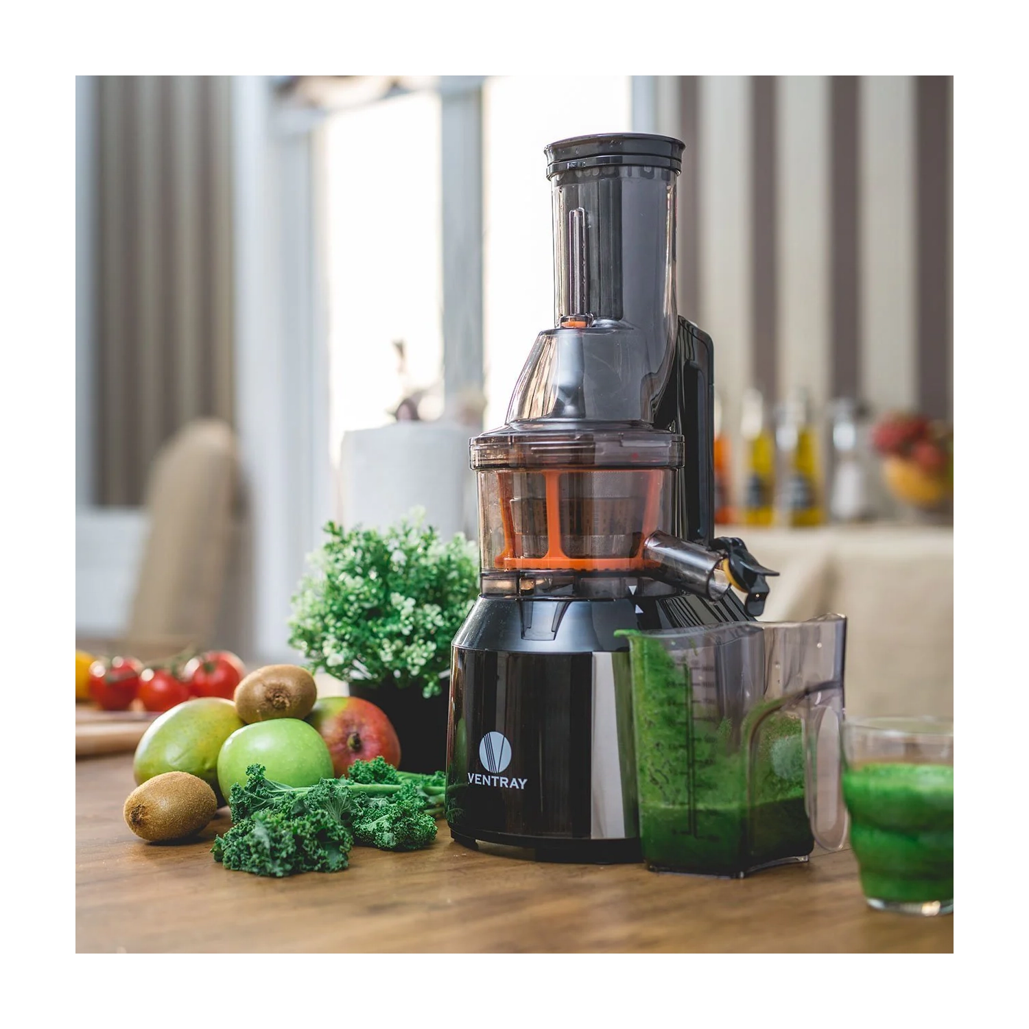 Ventray Pro 600 High Power Professional Blender 1500-Watt 8-Speed 5