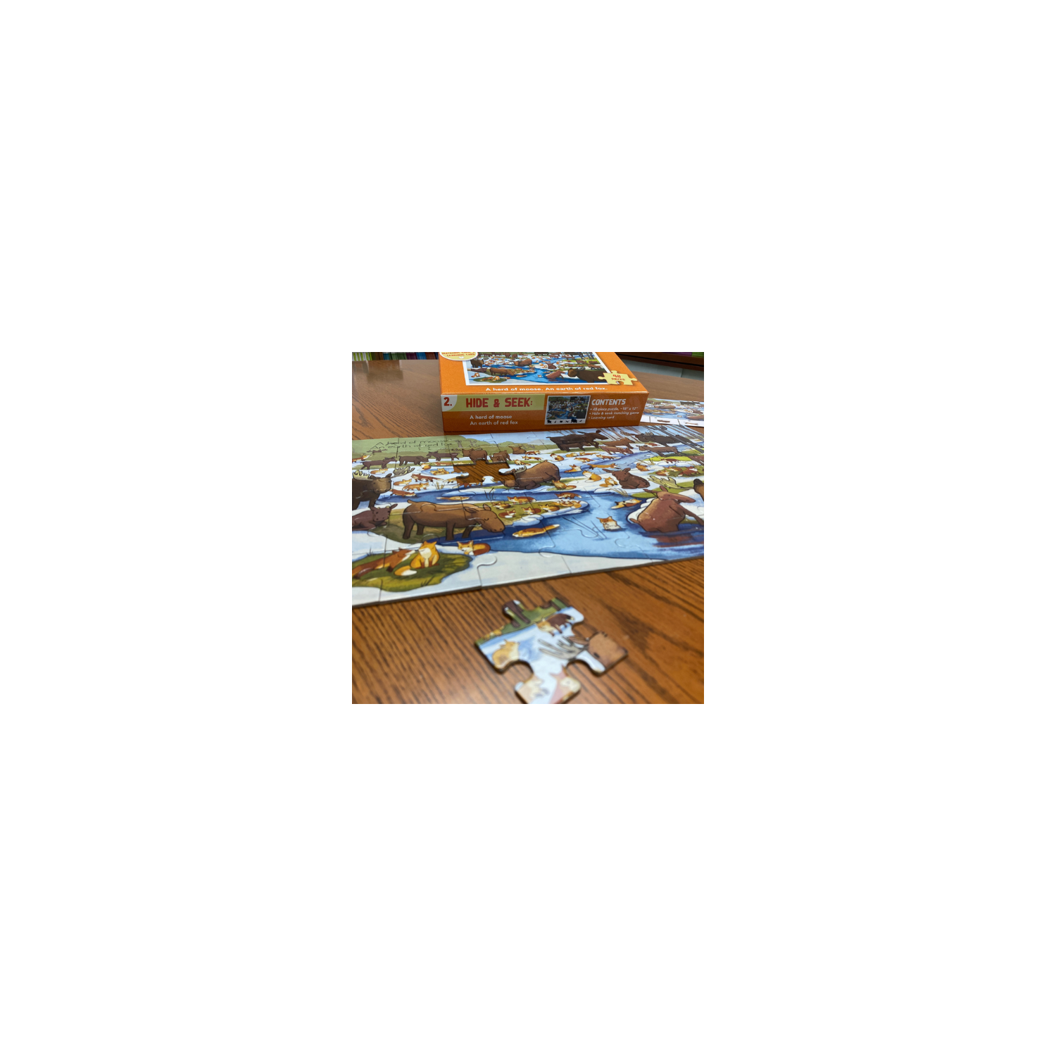 Hide and Seek Puzzle – Moose