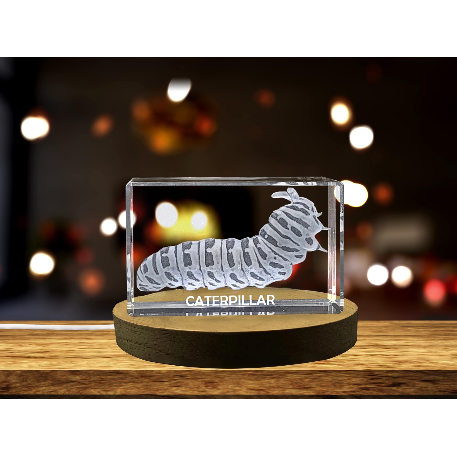 Unique 3D Engraved Crystal with Caterpillar Design - Perfect Gift for Nature Lovers
