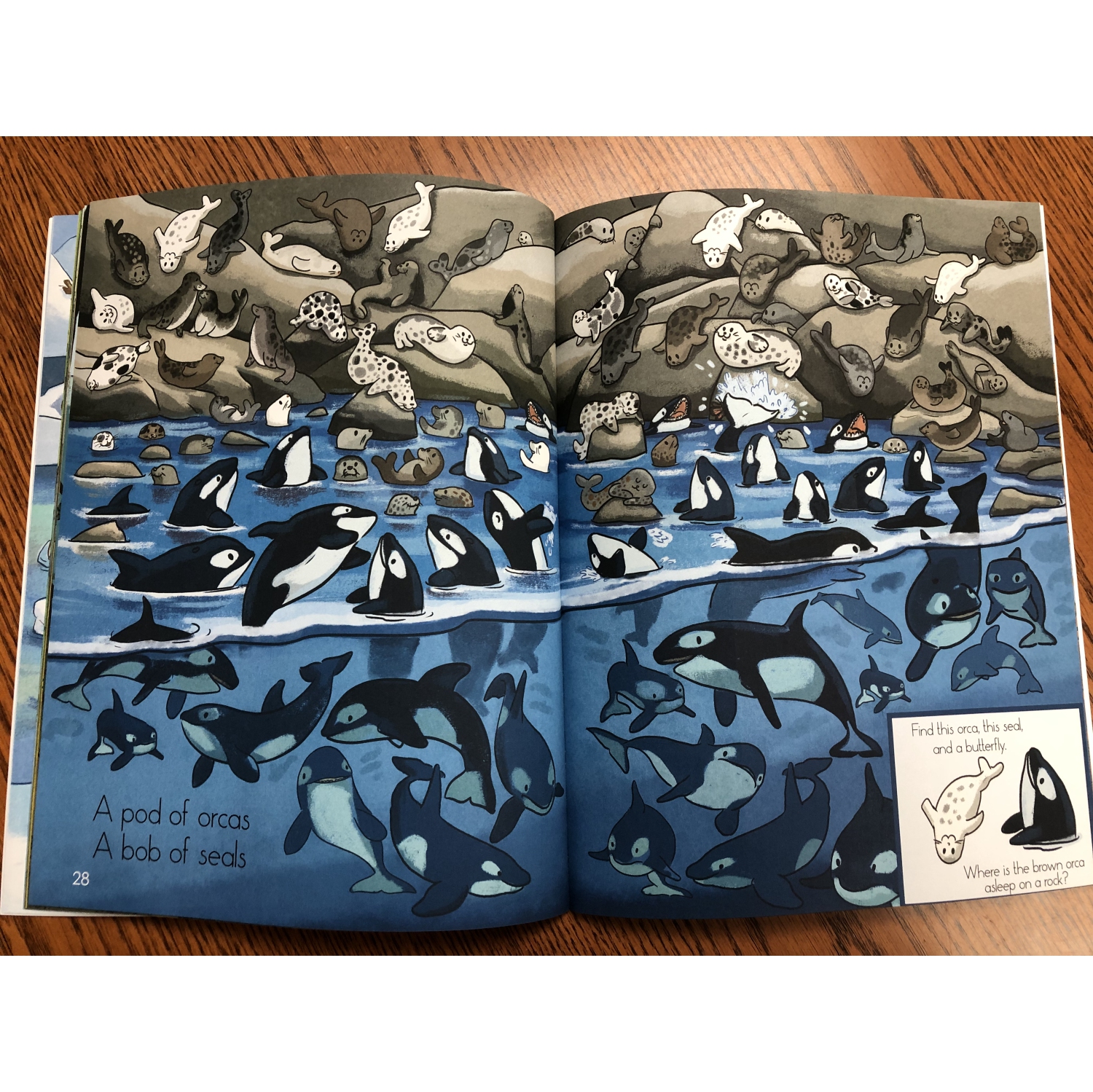 Livre Hide and Seek + Moose Puzzle