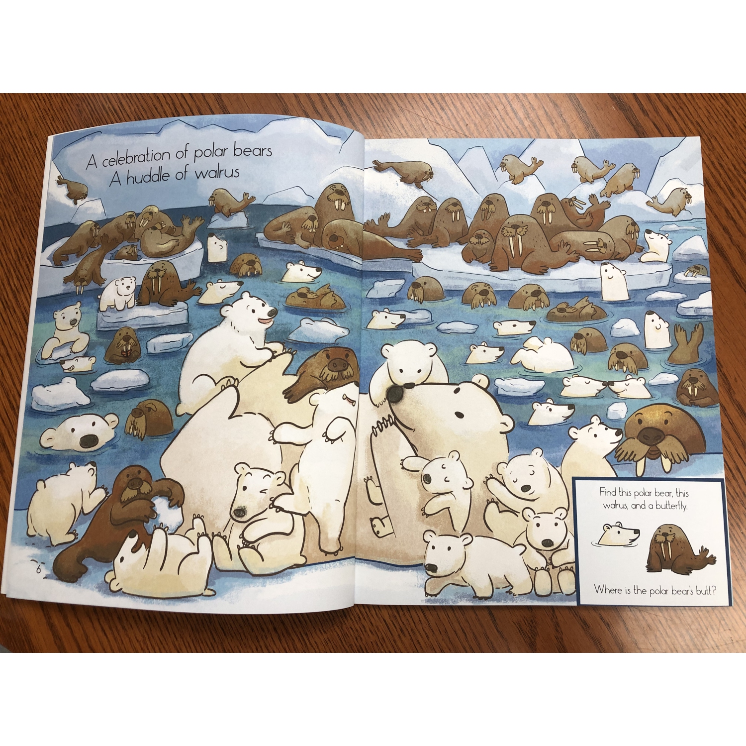 Livre Hide and Seek + Polar Bear Puzzle