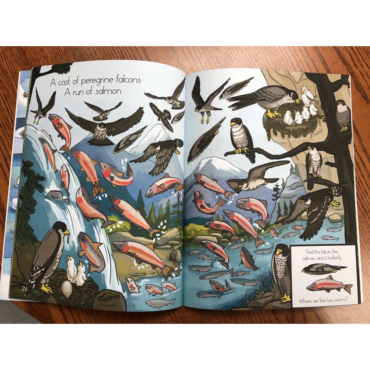 Livre Hide and Seek + Polar Bear Puzzle