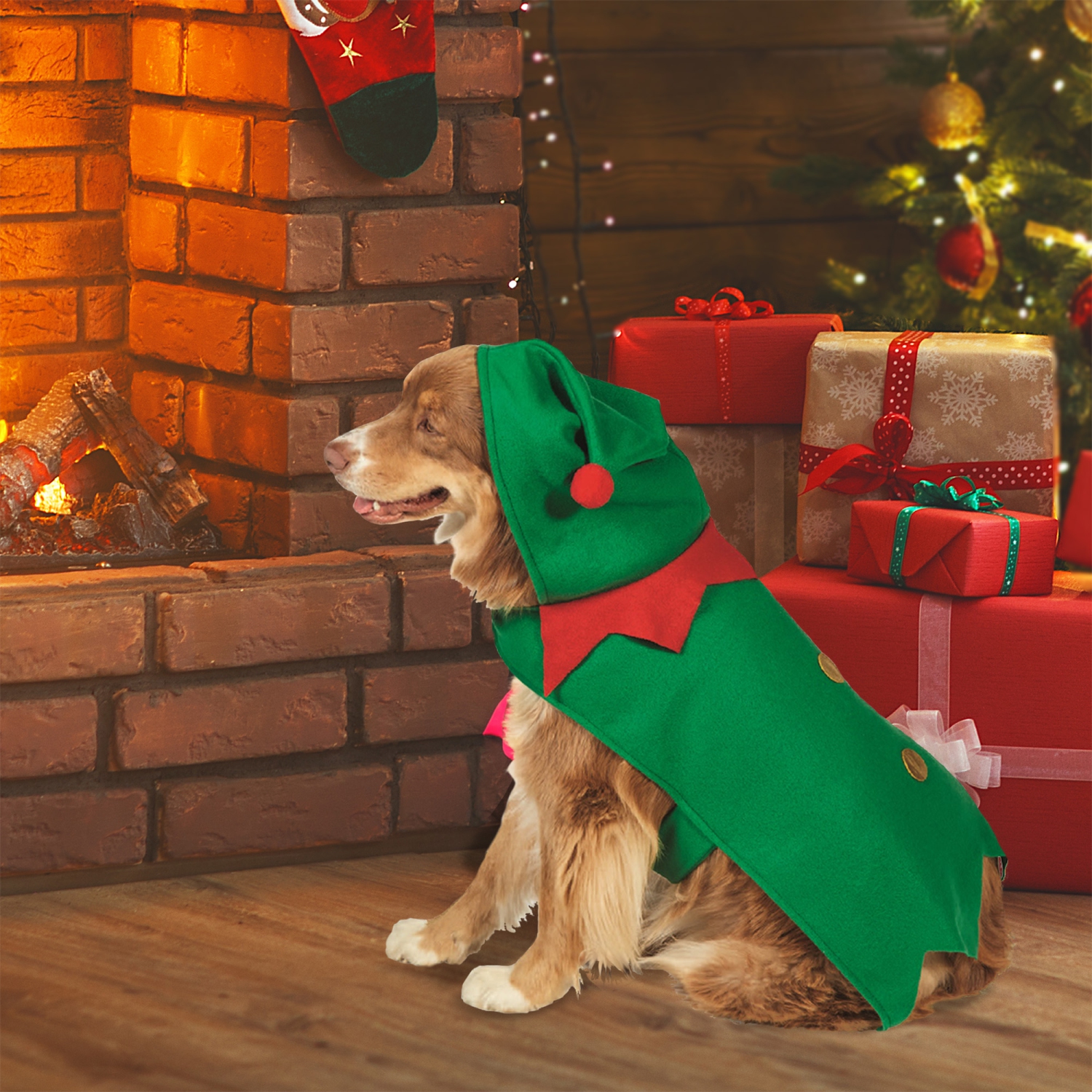 Costume pour chien de Noël avec chapeau – taille P