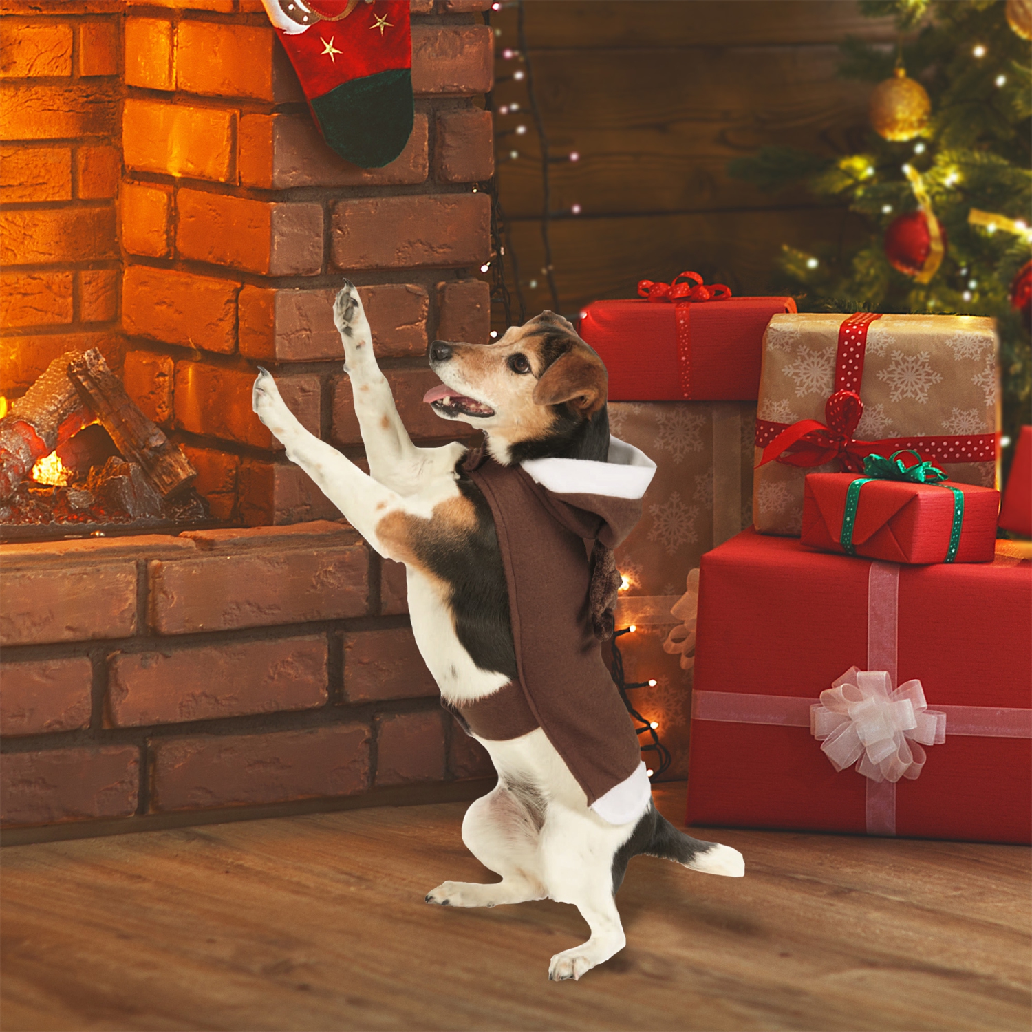 Costume de Noël de renne pour chiens taille : Petit