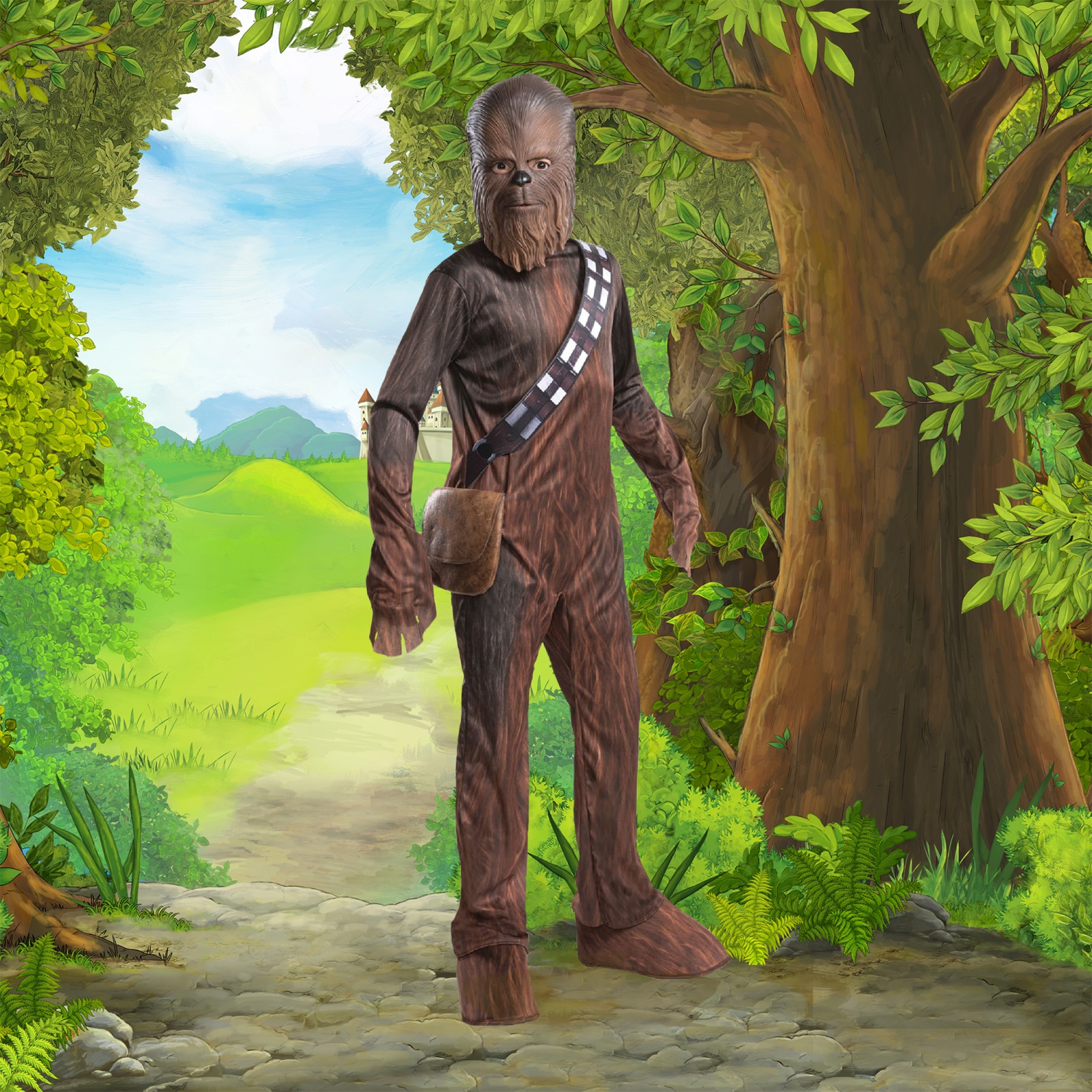 Chewbacca Star Wars Boy's Halloween Costume - Small