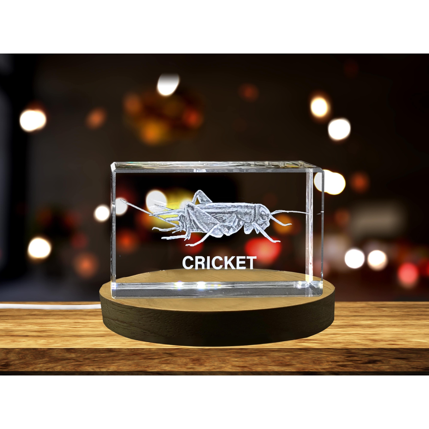 Charming 3D Engraved Crystal of a Playful Cricket - Perfect for Nature Lovers and Insect Enthusiasts