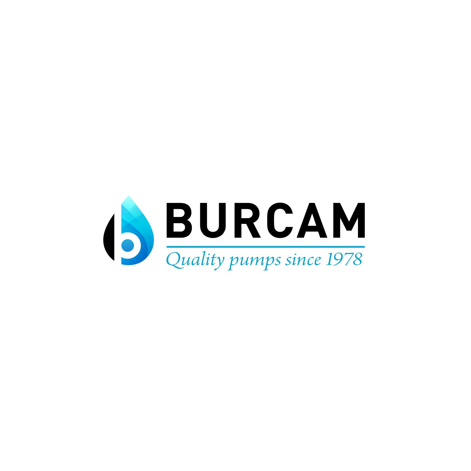 Burcam 400401T Sewage Pump, 1/2 hp, 115V