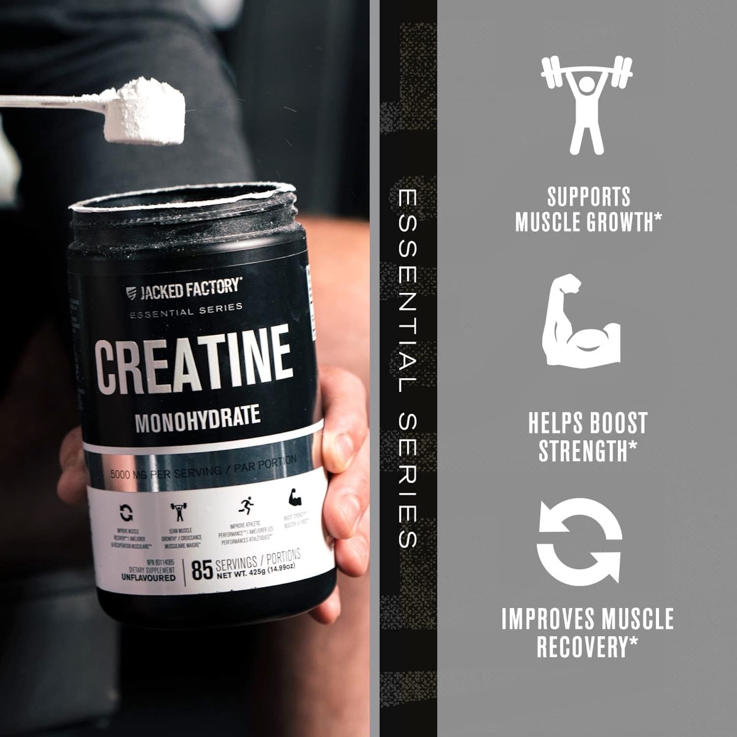 Creatine Monohydrate Powder 425g