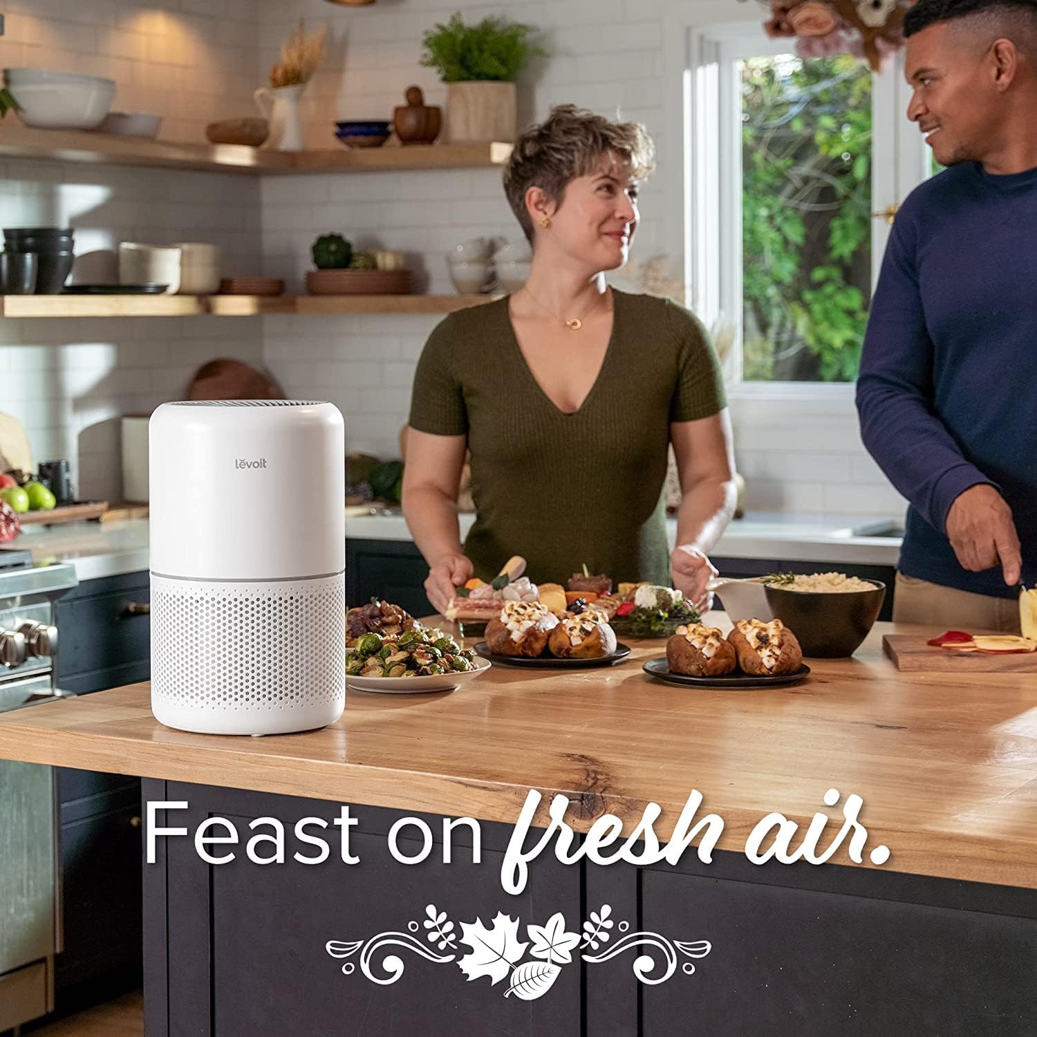 Levoit Air Purifiers for Home Allergies and Pets in Bedroom