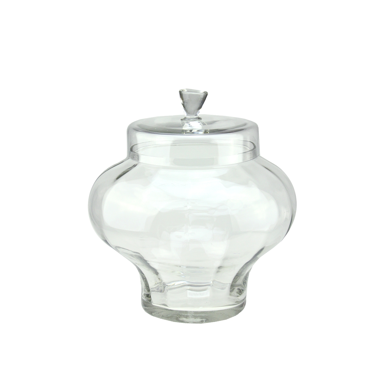 Grand contenant en verre transparent avec couvercle - 14,5&nbsp;po
