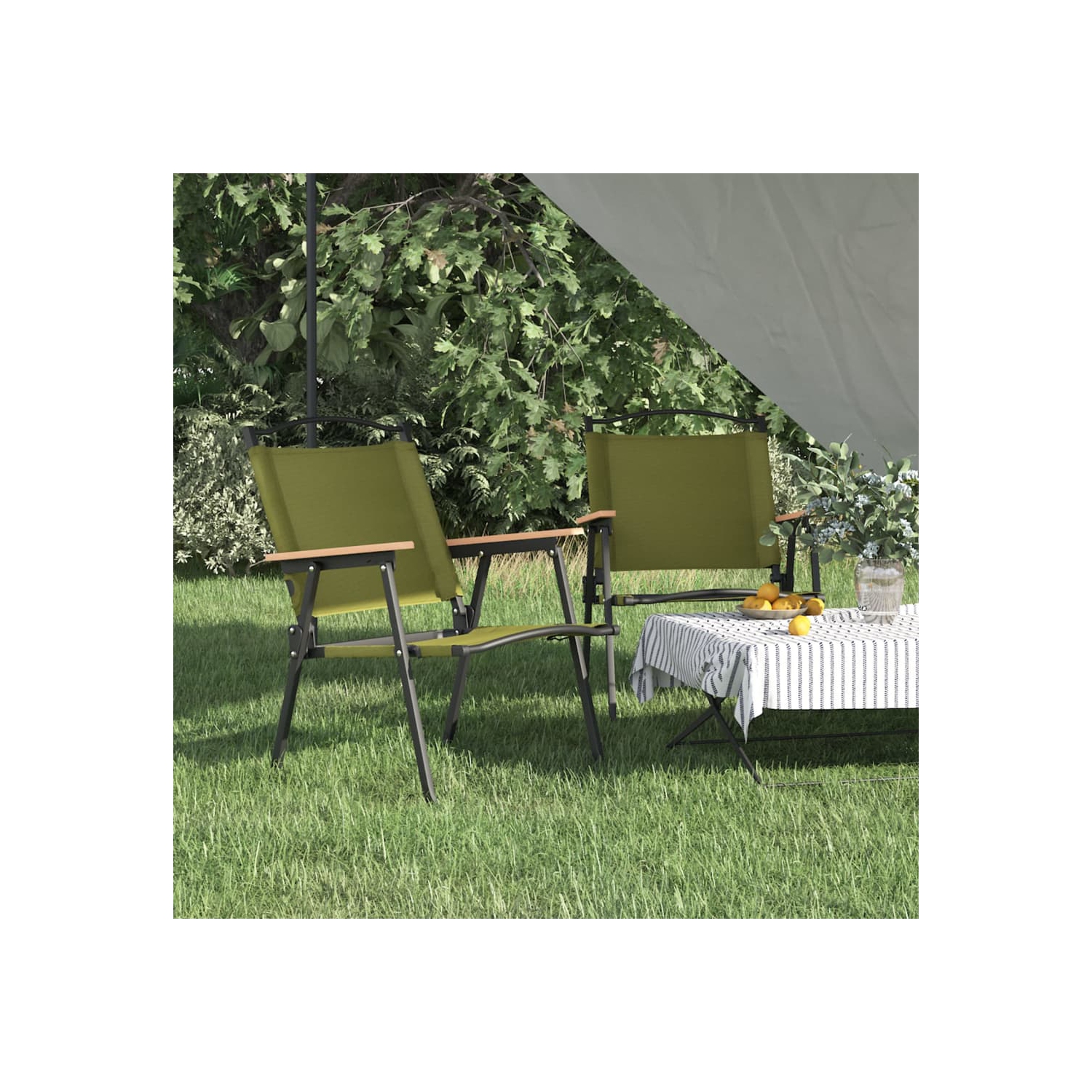 vidaXL Camping Chairs 2 pcs Green 54x55x78 cm Oxford Fabric