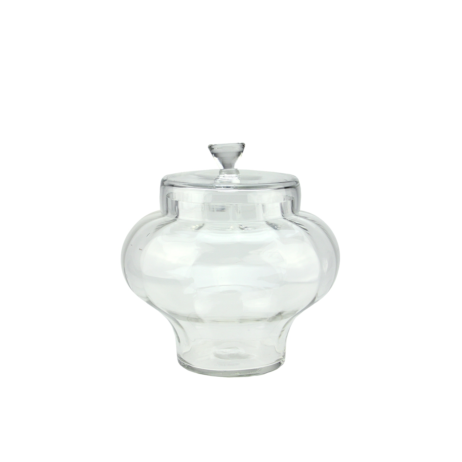 Contenant en verre transparent segmenté avec couvercle - 11 po