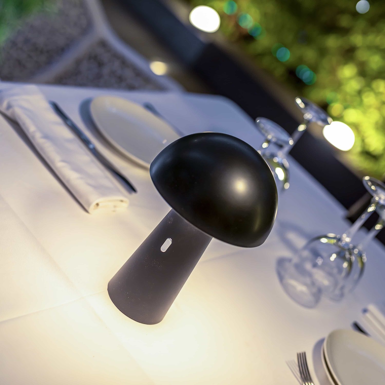 Newgarden Shitake Portable & Rechargeable LED Table Lamp, Black