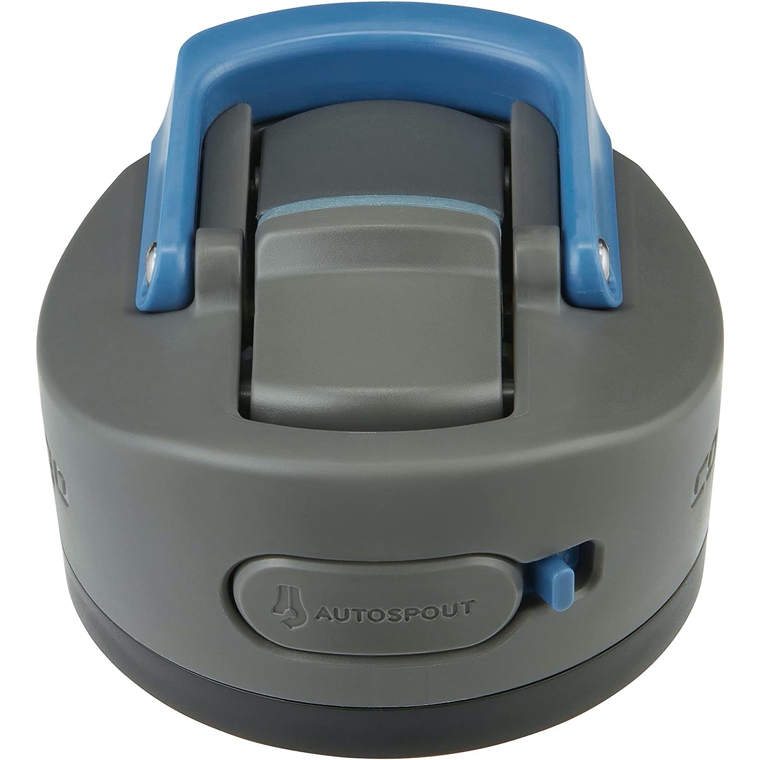 Contigo Ashland Chill 2.0 Stainless Steel Water Bottle with Leak-Proof Lid and Angled Straw, Vaccum-Insulated Water Bottle with Handled Lid, 24oz