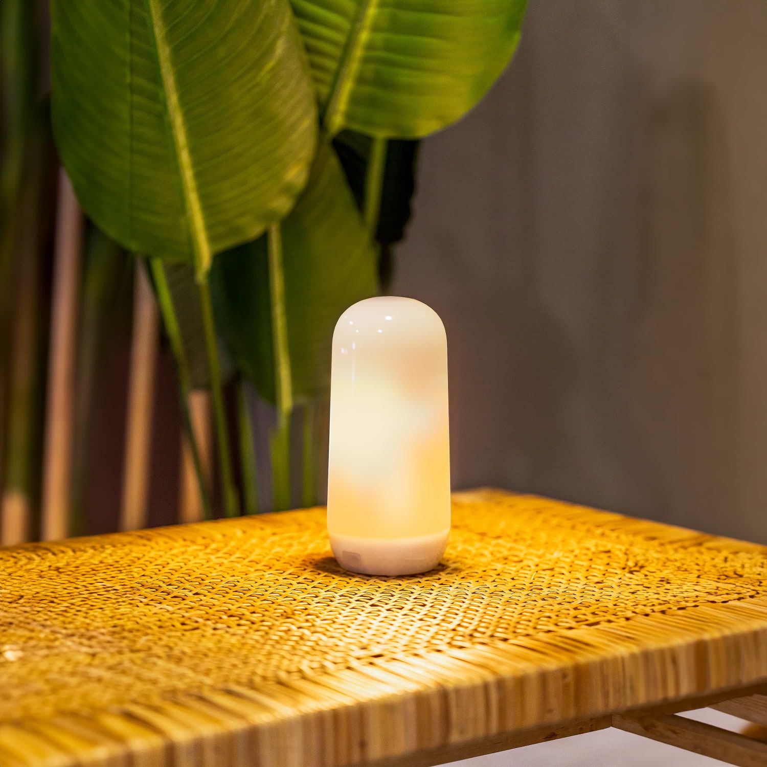 Newgarden Candy Portable LED Lightbulb with Flame Effect or Static Light