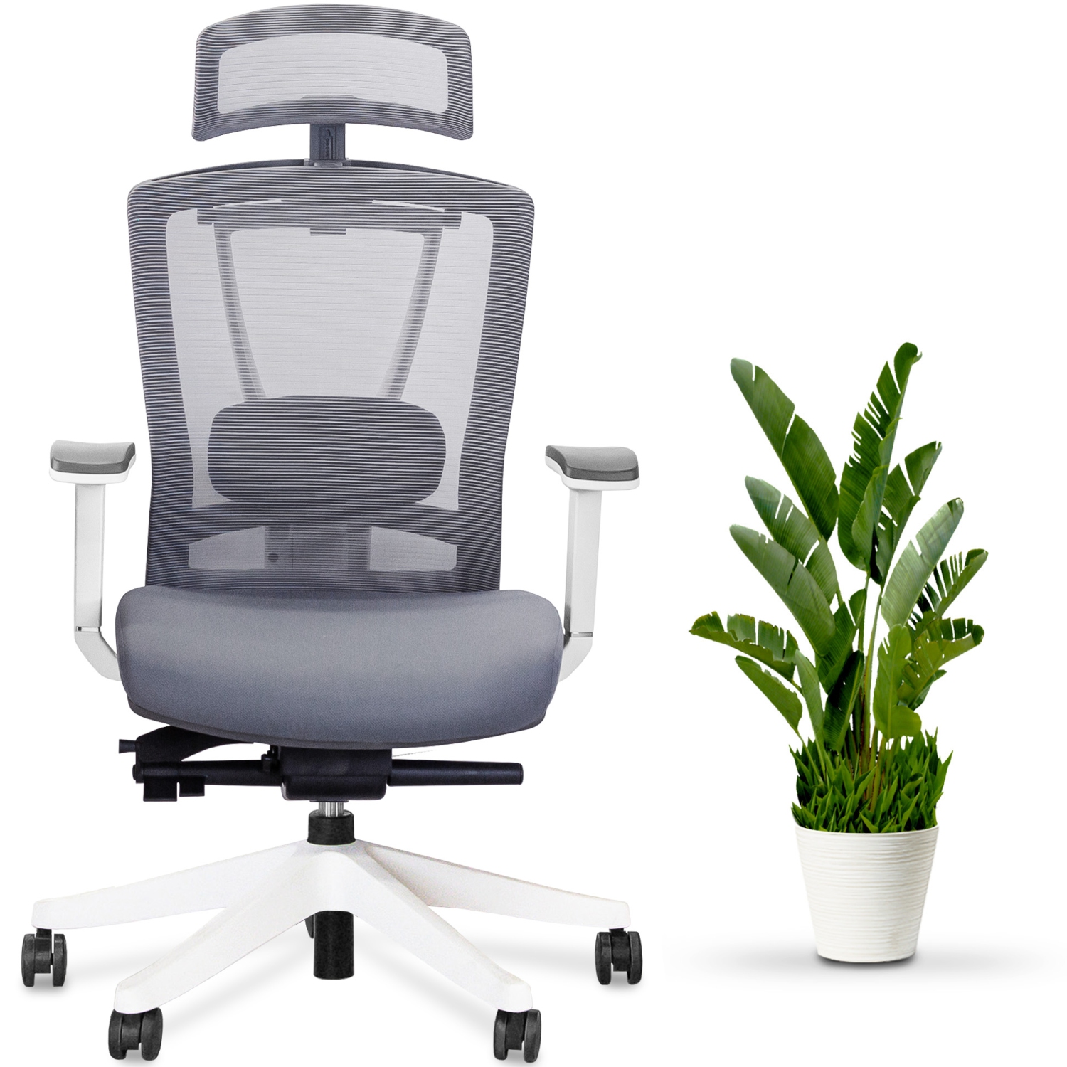 EFFYDESK BUSINESS BUNDLE: Height Adjustable Computer Standing Desk Small Oak White on Business White Frame + AeryChair Adjustable Ergonomic Office