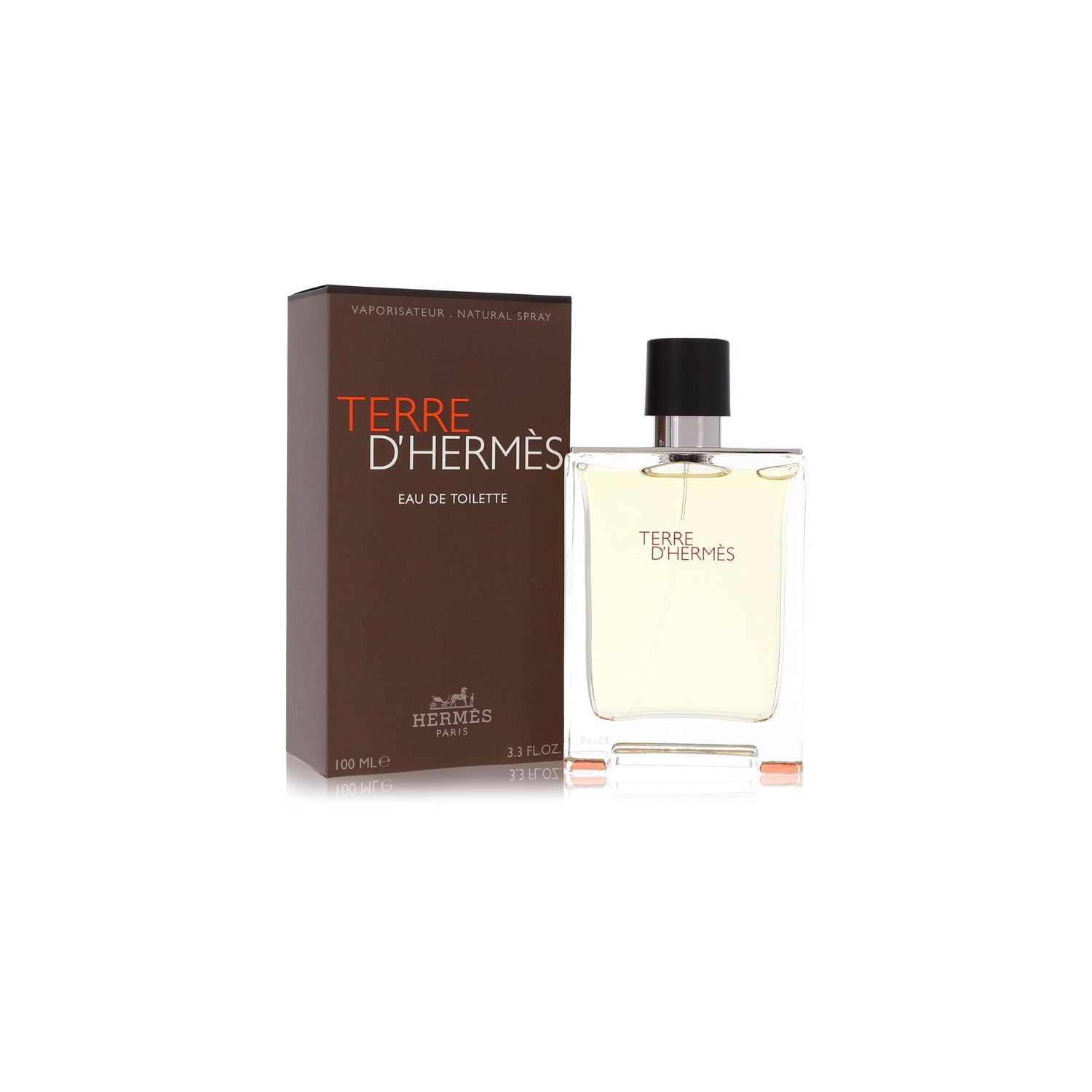 Terre D'Hermes by Hermes Eau De Toilette Spray 3.4 oz for Men