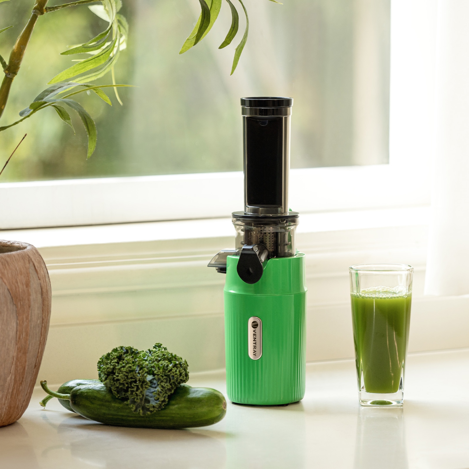 Centrifugeuse Ginnie de Ventray Essential, compact et lent, riche en nutriments, meilleur cadeau pour la famille