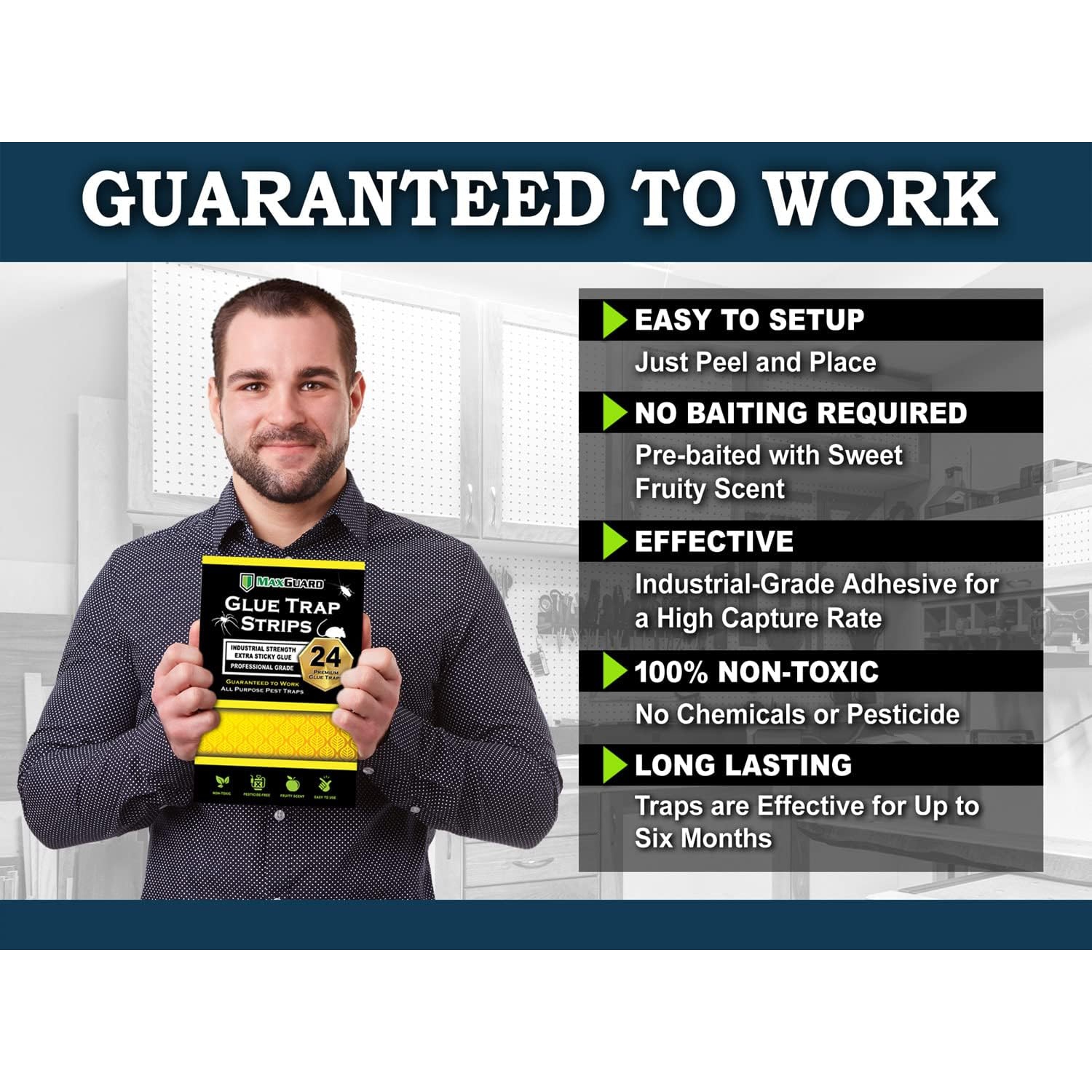 MaxGuard – bandes adhésives pour pièges à colle, panneau de colle extra-toxique