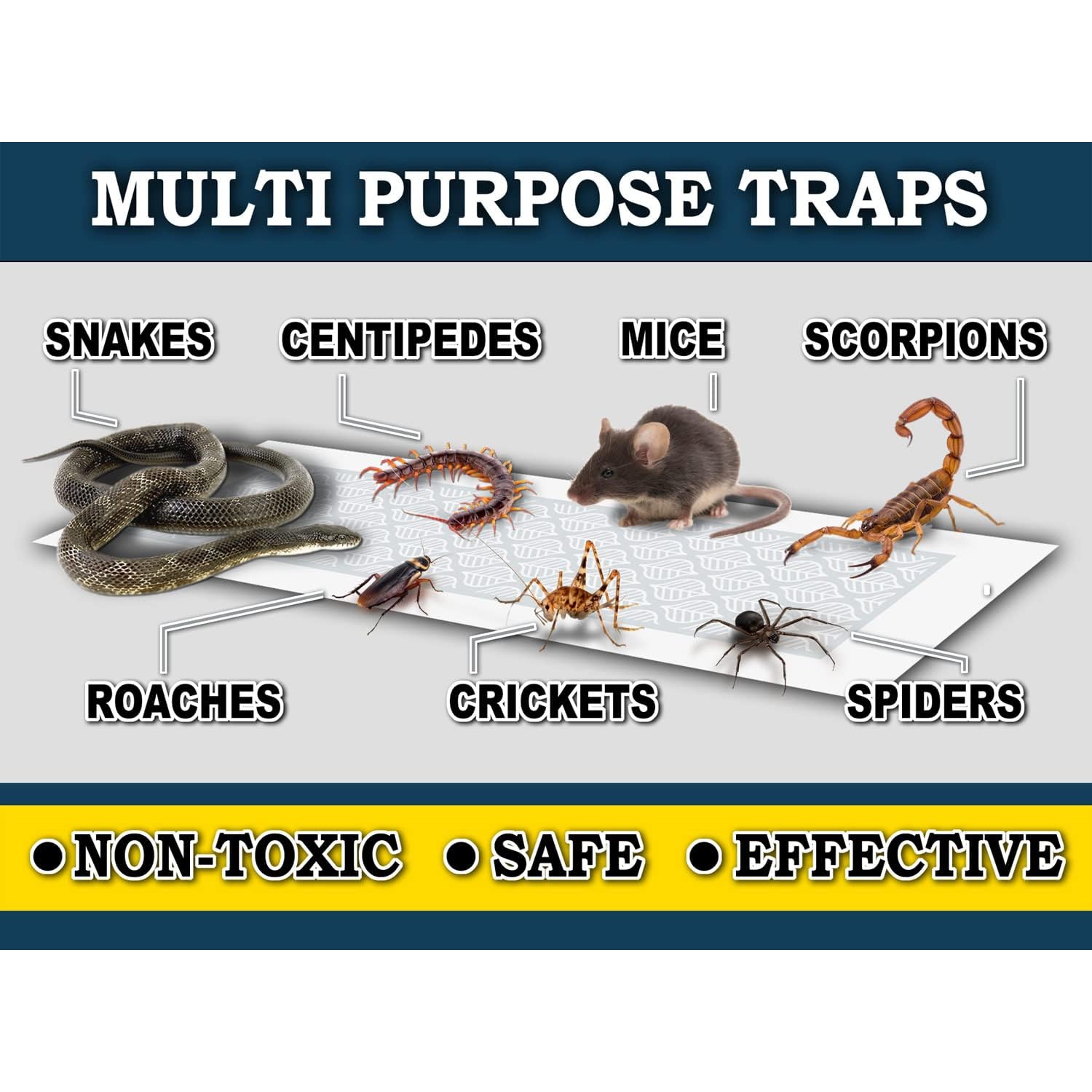 MaxGuard – bandes adhésives pour pièges à colle, panneau de colle extra-toxique