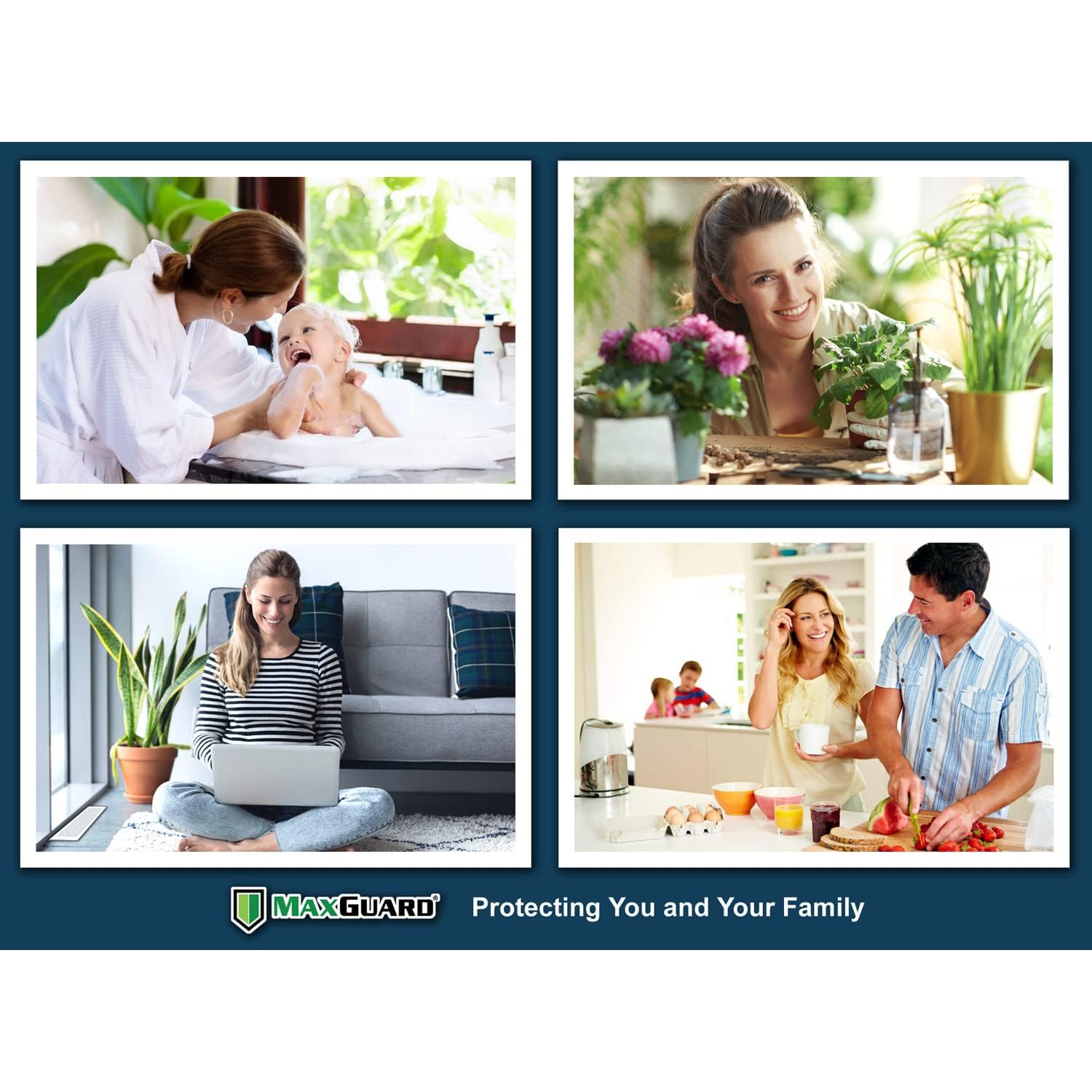 MaxGuard – bandes adhésives pour pièges à colle, panneau de colle extra-toxique