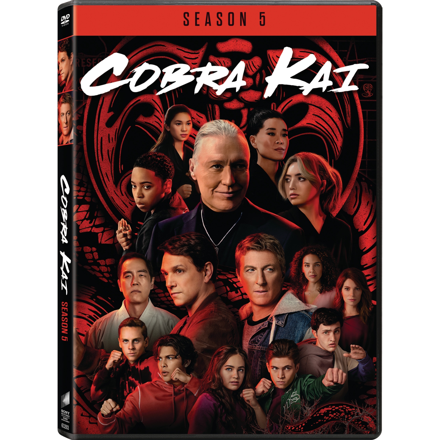 Cobra Kai: Season 5 (DVD)