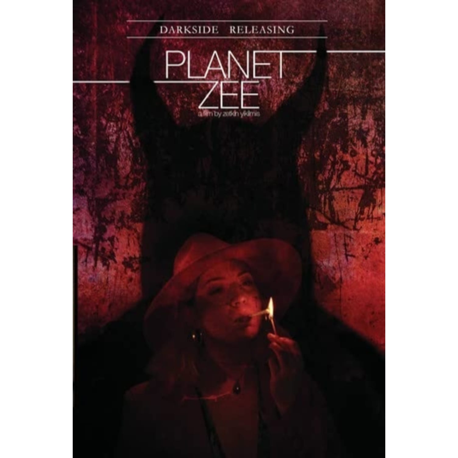 Planet Zee - - [DVD]