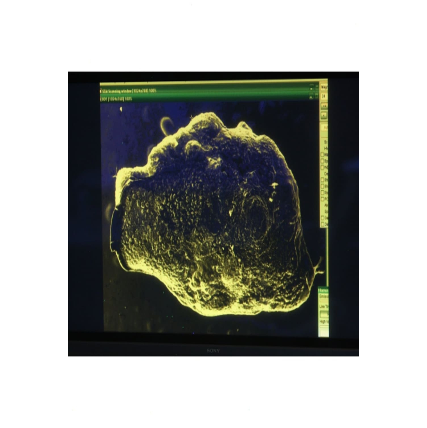 UFO Hunters: Reverse Engineering - [DVD]