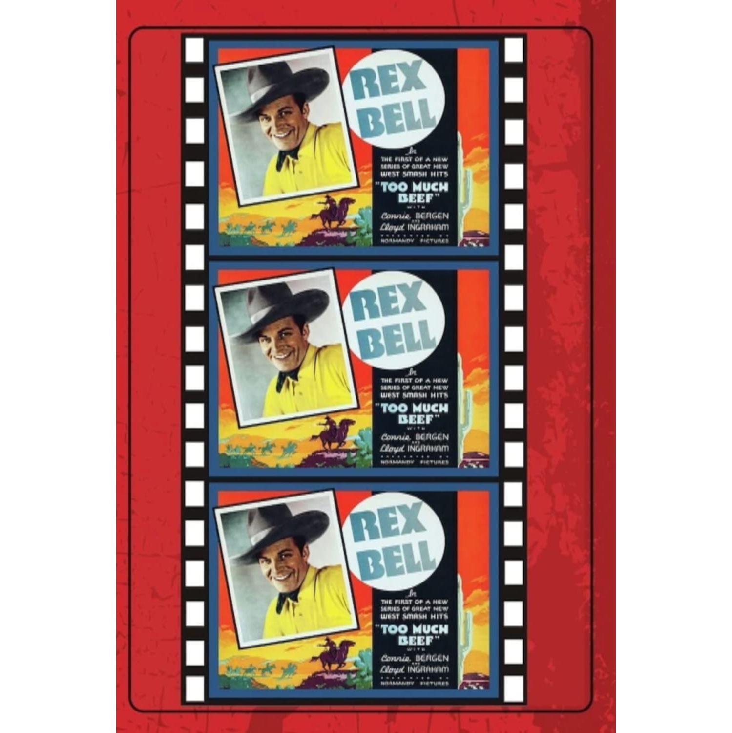 Too Much Beef - - [DVD]