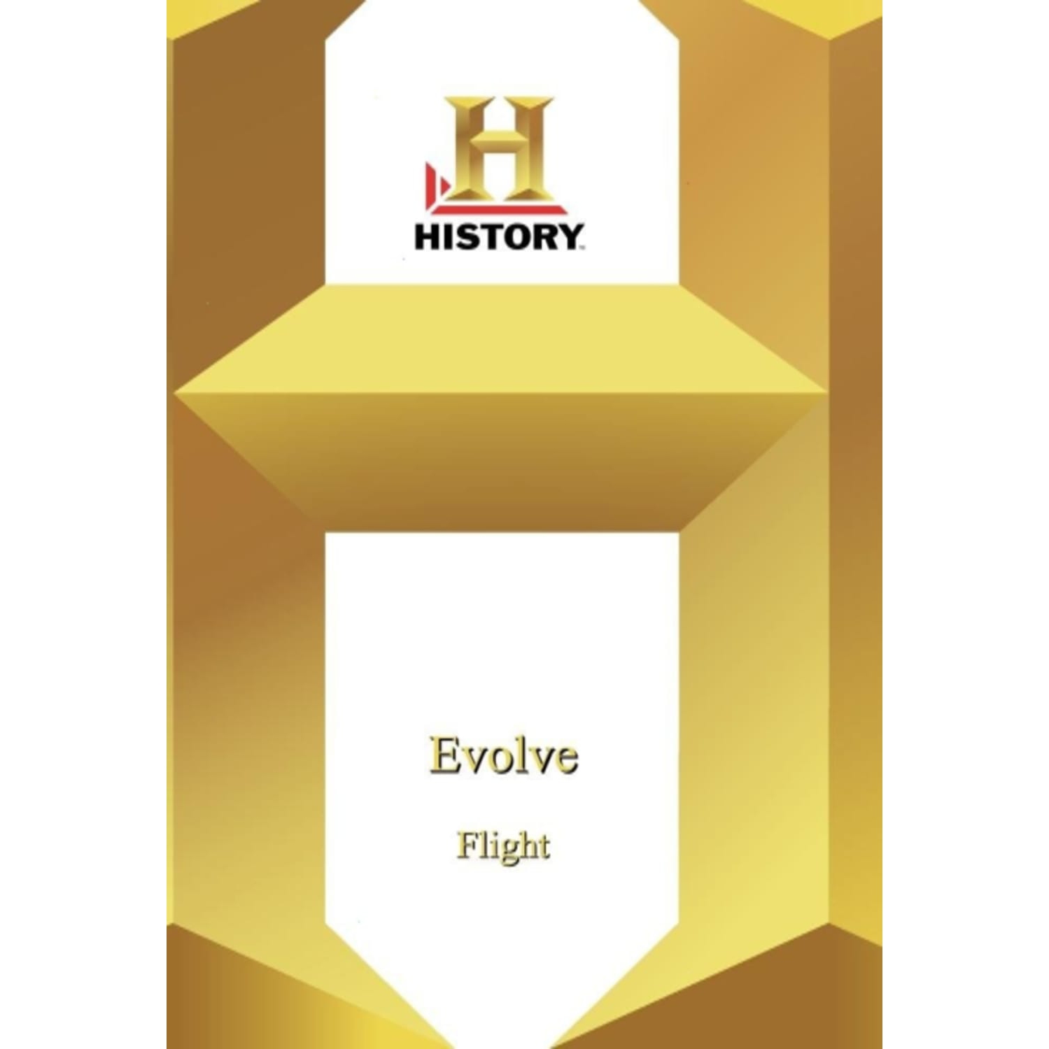 Evolve: Flight - - [DVD]