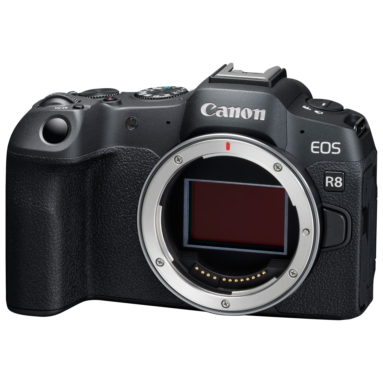 Canon EOS R8 Full Frame Mirrorless Camera