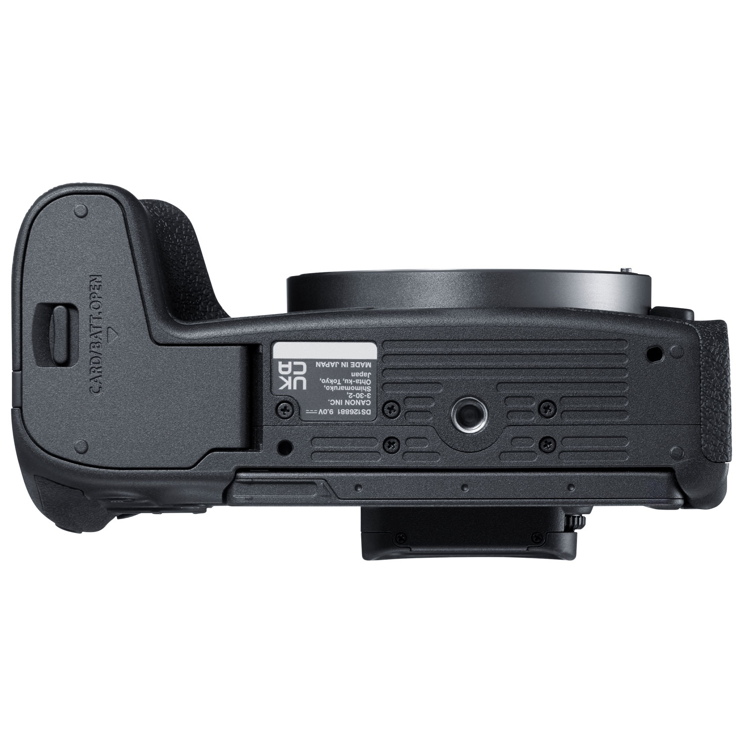 Canon EOS R8 Full Frame Mirrorless Camera