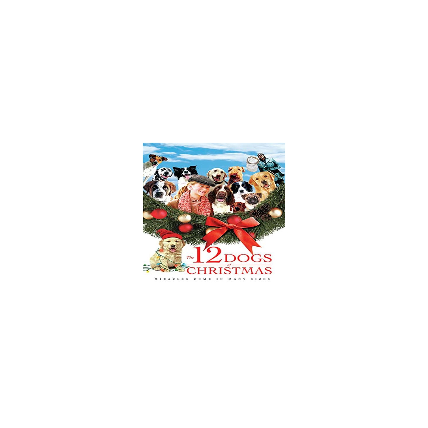 The 12 Dogs Of Christmas - - [DVD]