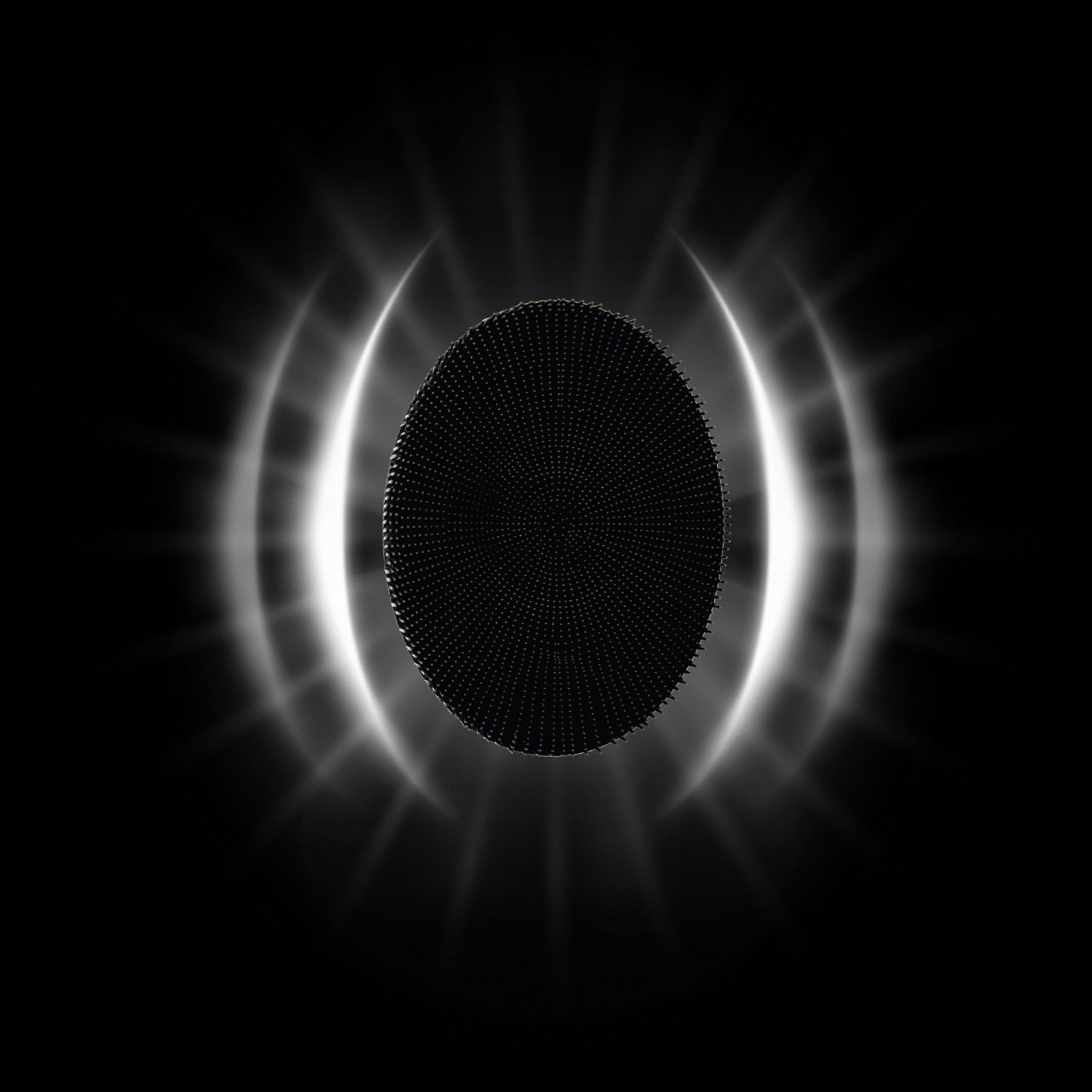 Brosse vibrante pour le visage et le corps Sonic Scrubber Pro de Black Wolf - Noir