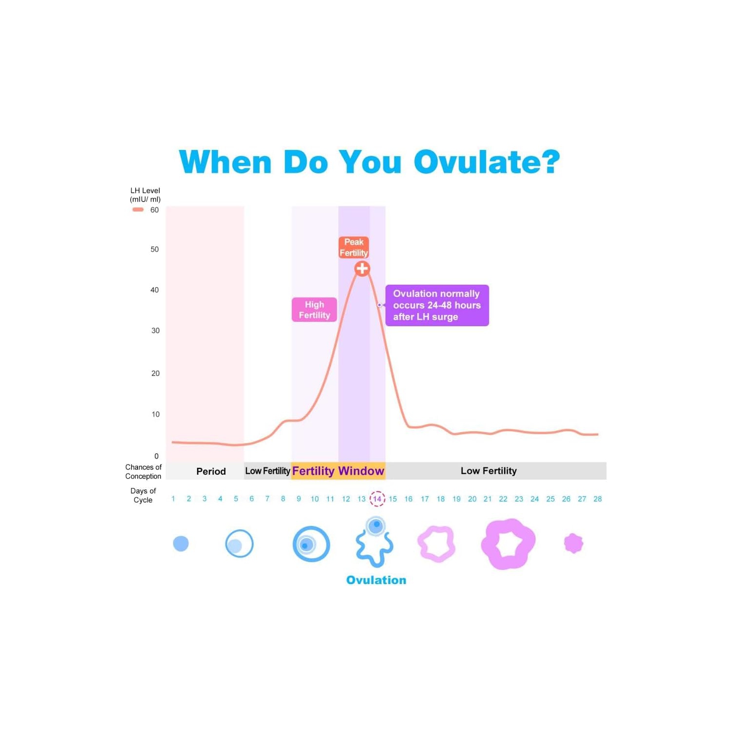 Easy@Home 25 Ovulation Tests to Predict Your Fertility More