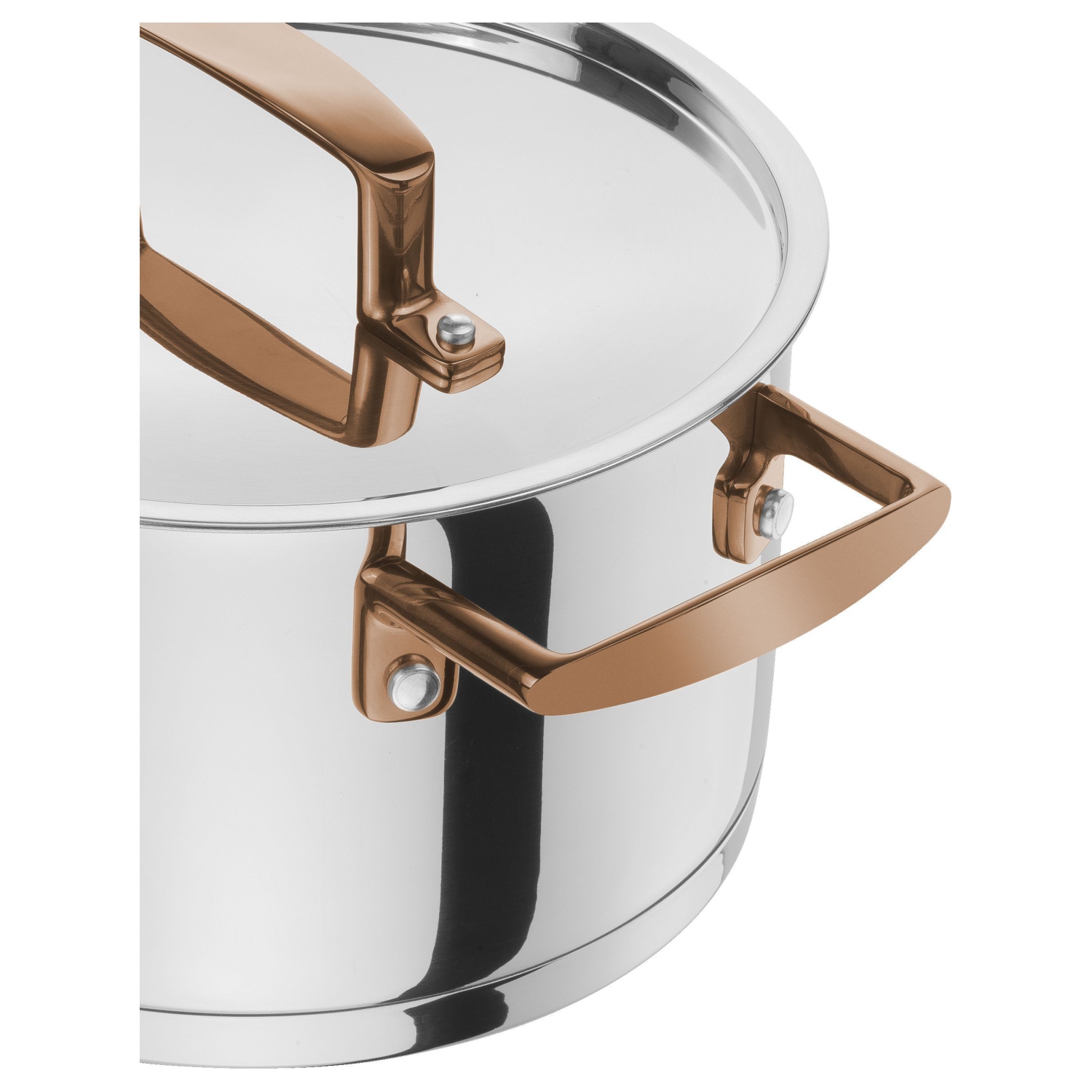 ZWILLING Bellasera 3 L 18/10 Stainless Steel Stew Pot