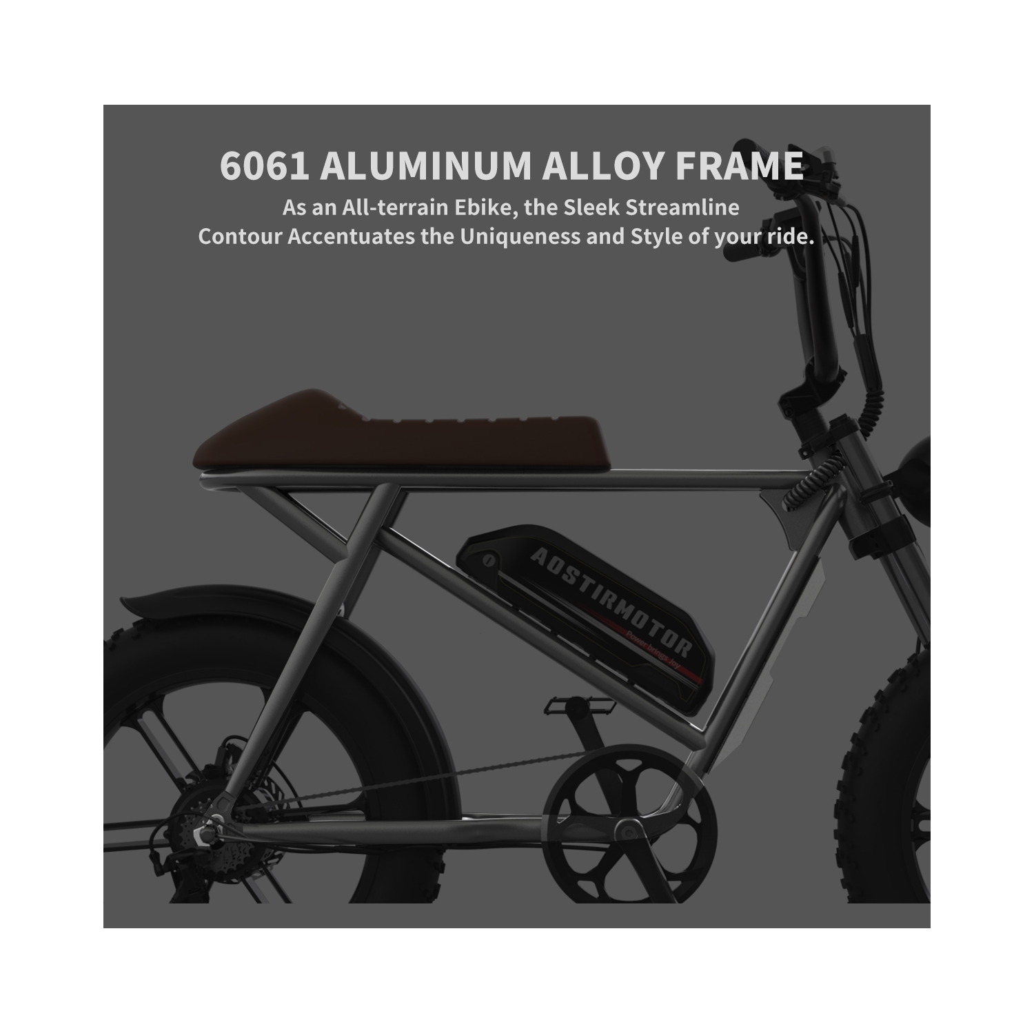 Vélo électrique À gros pneus de 20 po STORM 750&nbsp;W d'Aoagitation pour adultes/vélo de montagne 40&nbsp;km/h de 48&nbsp;V