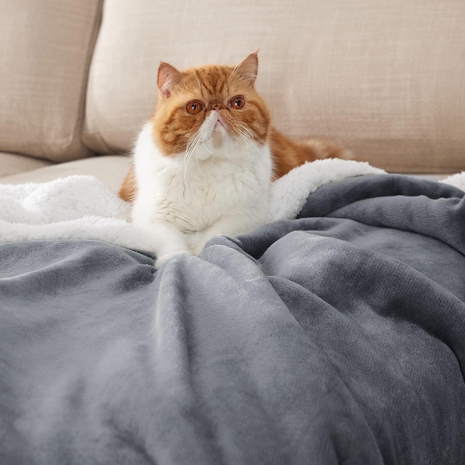 Bedsure Sherpa Fleece Throw Blanket for Couch - Thick and Warm Blankets, Soft and Fuzzy Throw Blanket for Sofa, Light Grey, 90x90 Inches