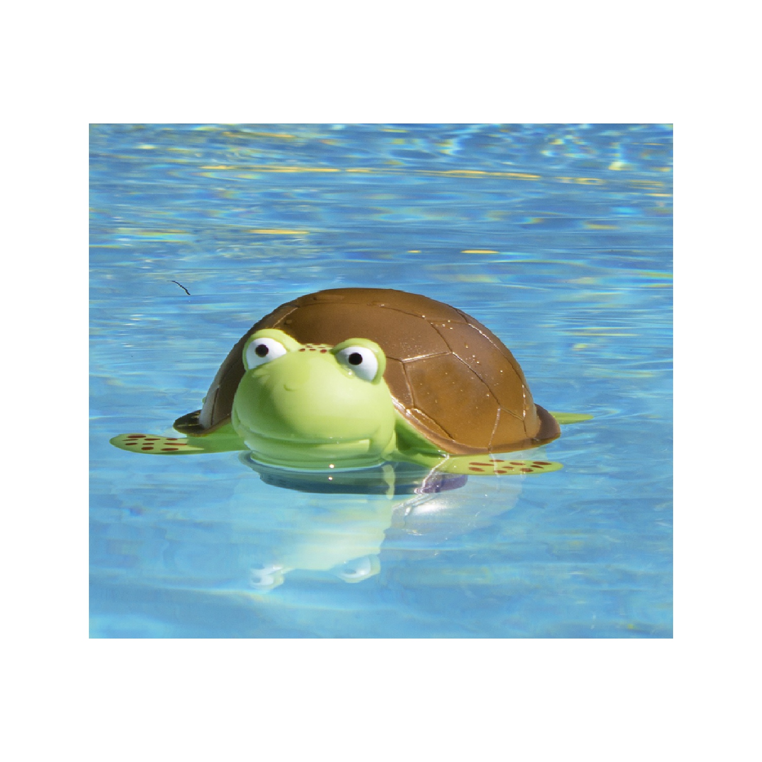Distributeur de chlore flottant pour piscine, tortue verte et brune