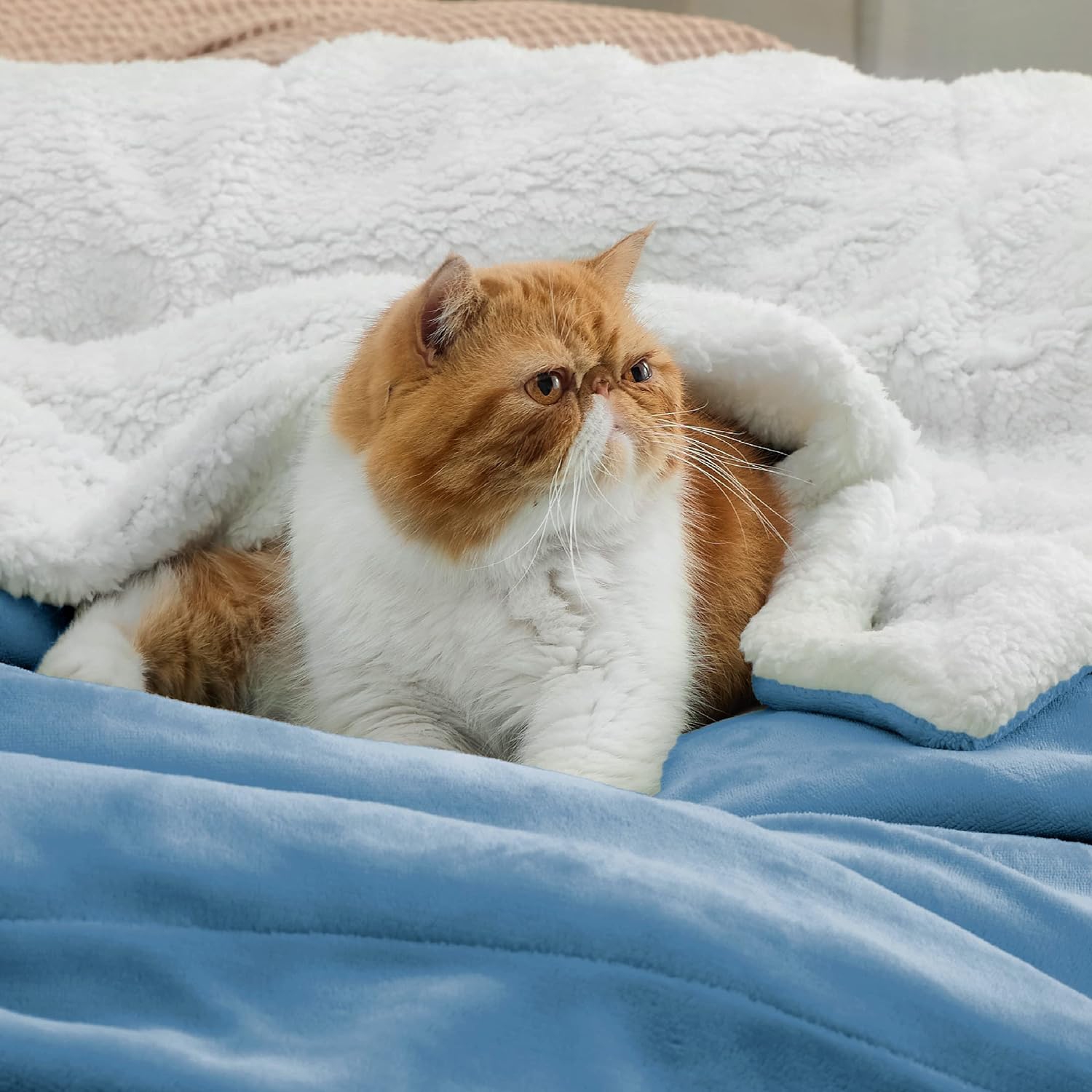 Bedsure Sherpa Fleece Twin Blanket for Couch - Thick and Warm Blankets, Soft and Fuzzy Blanket Twin Size for Sofa, Washed Blue, 90x90 Inches