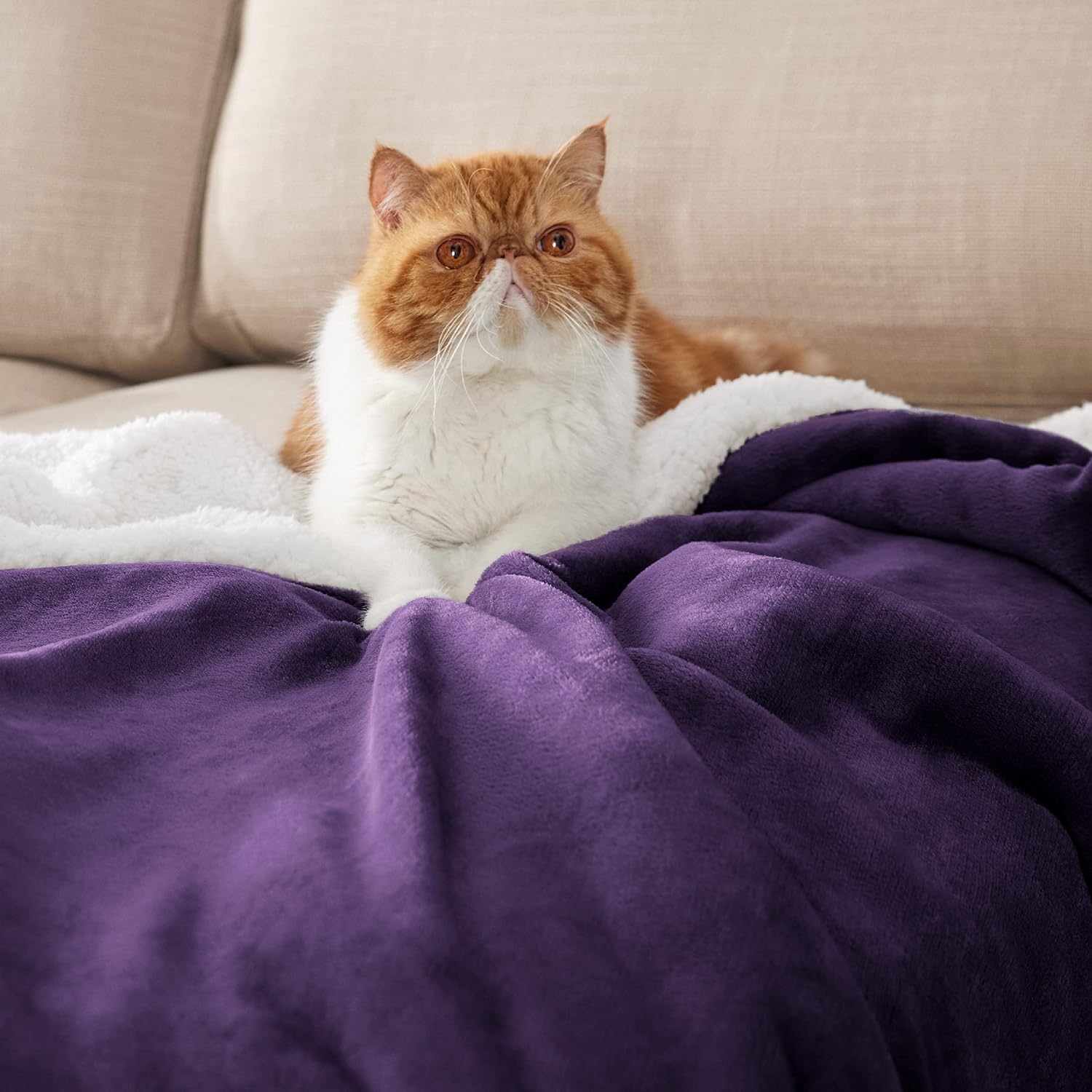 Bedsure Sherpa Fleece Throw Blanket for Couch - Thick and Warm Blankets, Soft and Fuzzy Throw Blanket for Sofa, Purple, 60x80 Inches