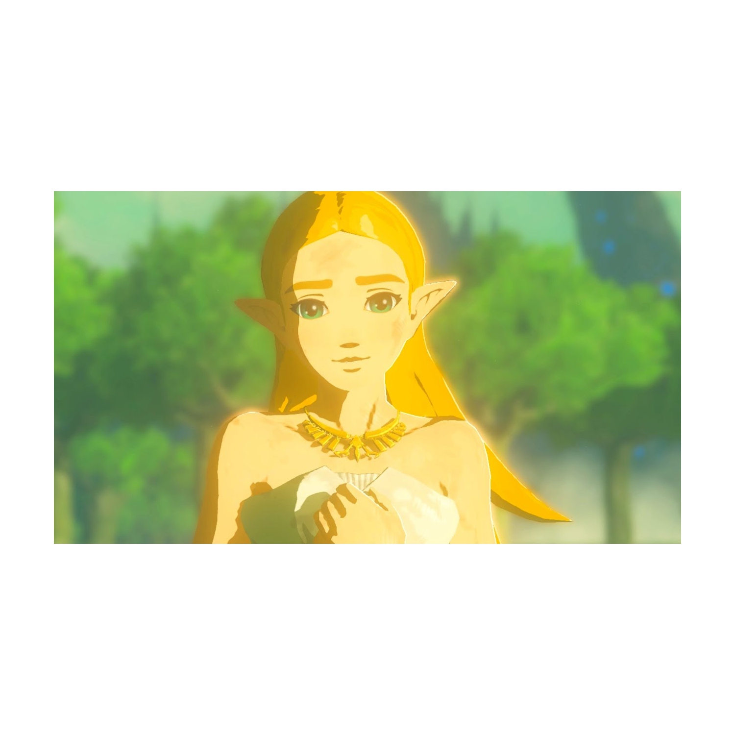 Zelda - Legend of Zelda Breath of the Wild Series - amiibo