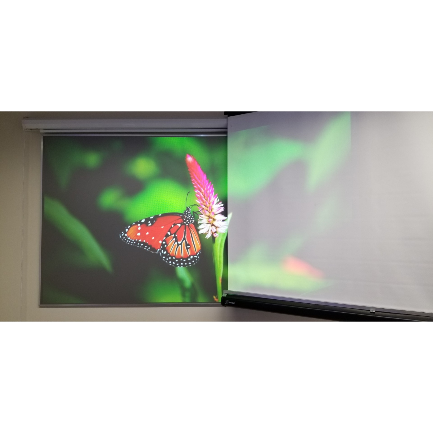 Écran de projection ALR Premium à cadre fixe de 110 po série Platinum d'Obsidian - FABRIQUÉ AU CANADA