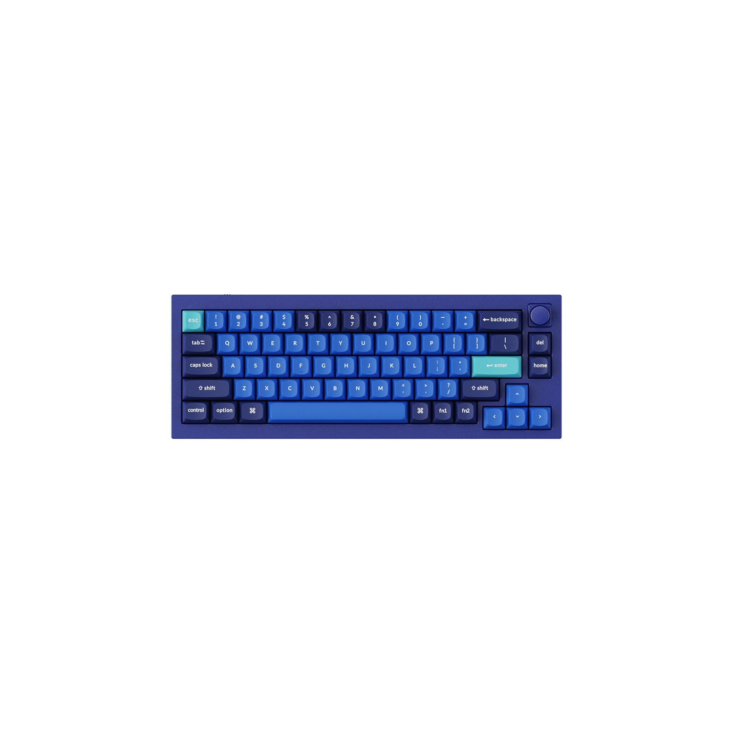 Keychron Q2 RGB Hotswap Mechanical Gaming Keyboard – 65% Layout, Gateron Pro Blue Switches with Knob – Compatible with Windows & macOS, Blue