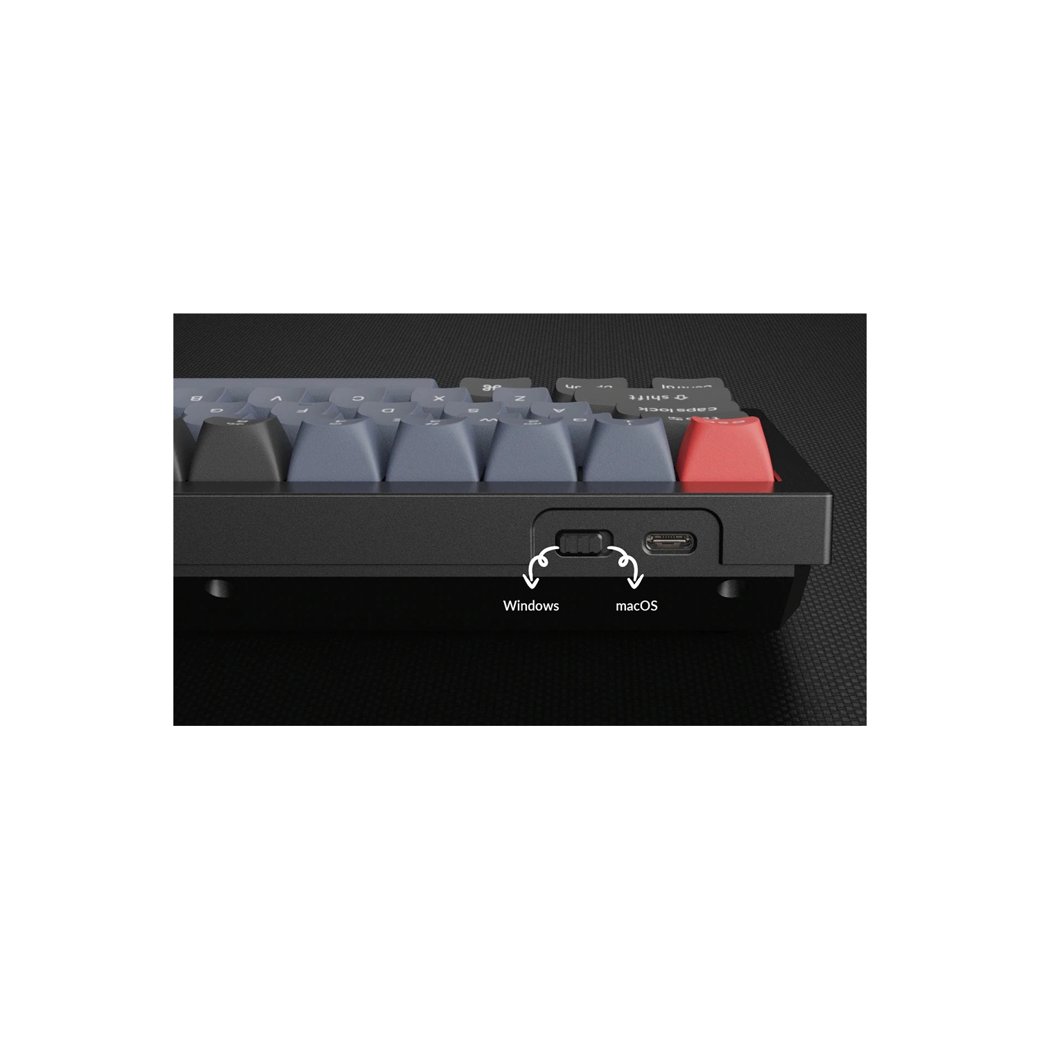 Keychron Q2 RGB Hotswap Mechanical Gaming Keyboard – 65% Layout, Gateron Pro Blue Switches with Knob – Compatible with Windows & macOS, Blue