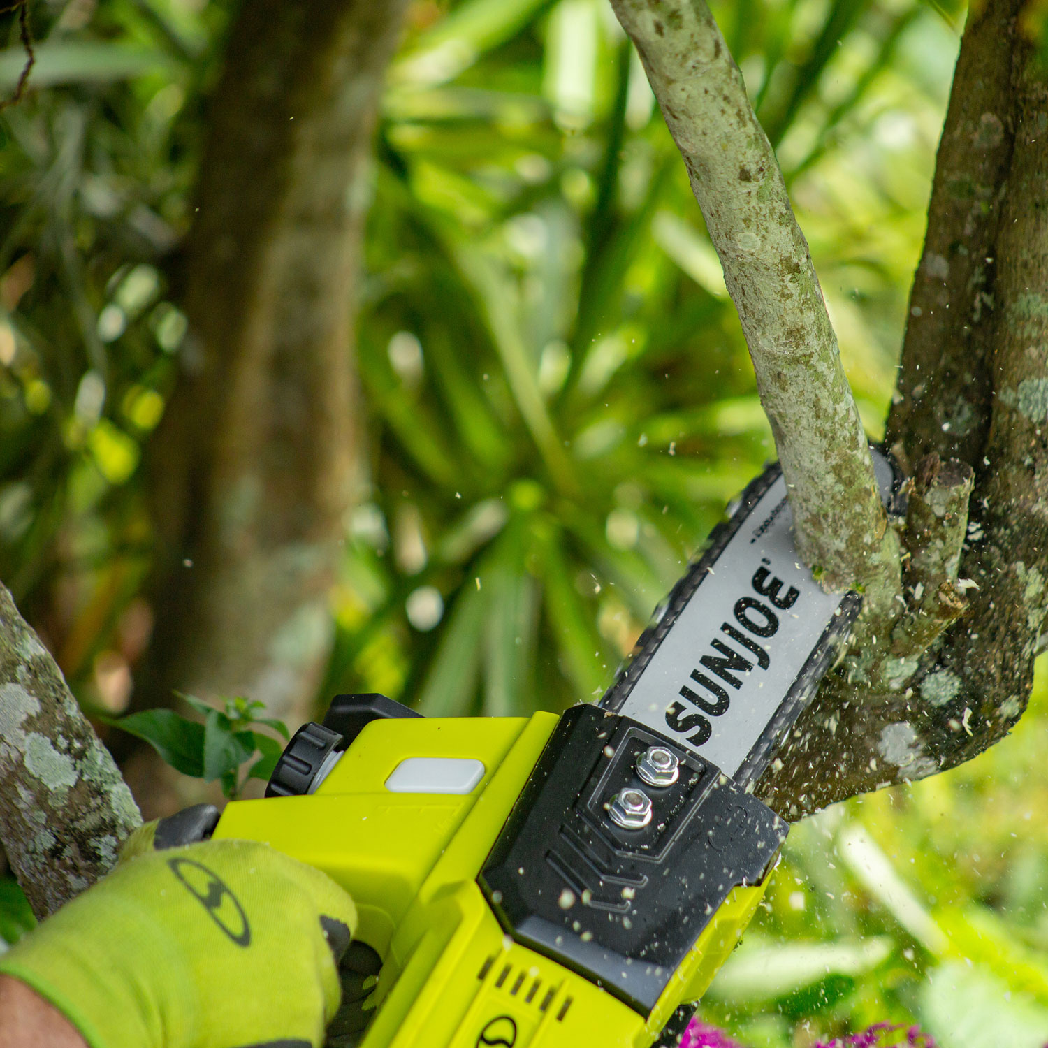 Scie à chaîne sans cordon de 10 po et 24 V de Sun Joe